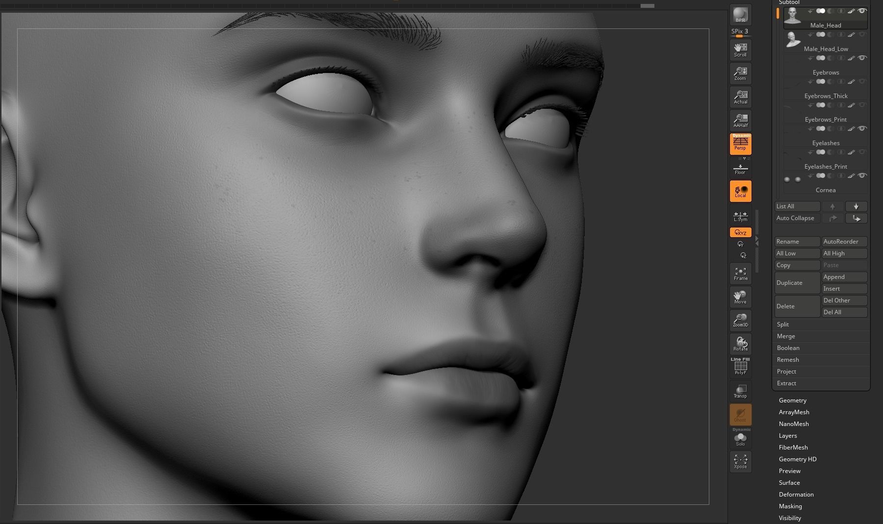 Young Male Head 3D model_27