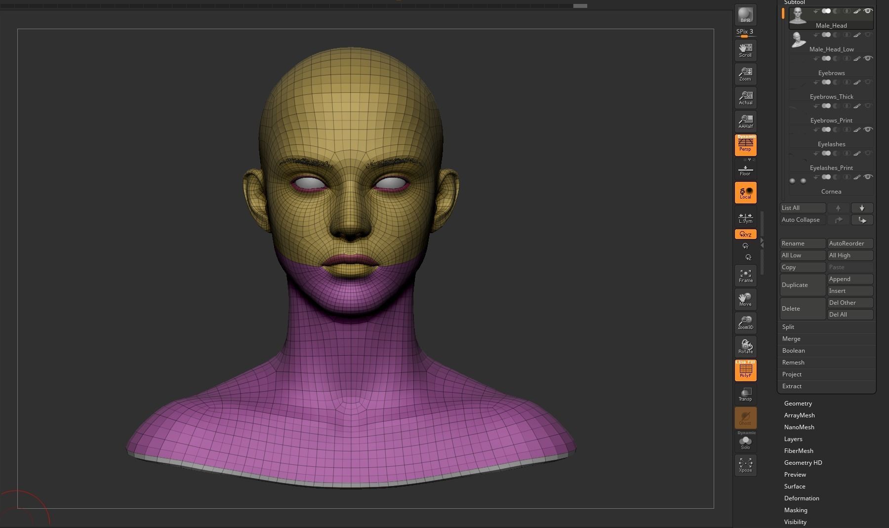 Young Male Head 3D model_26