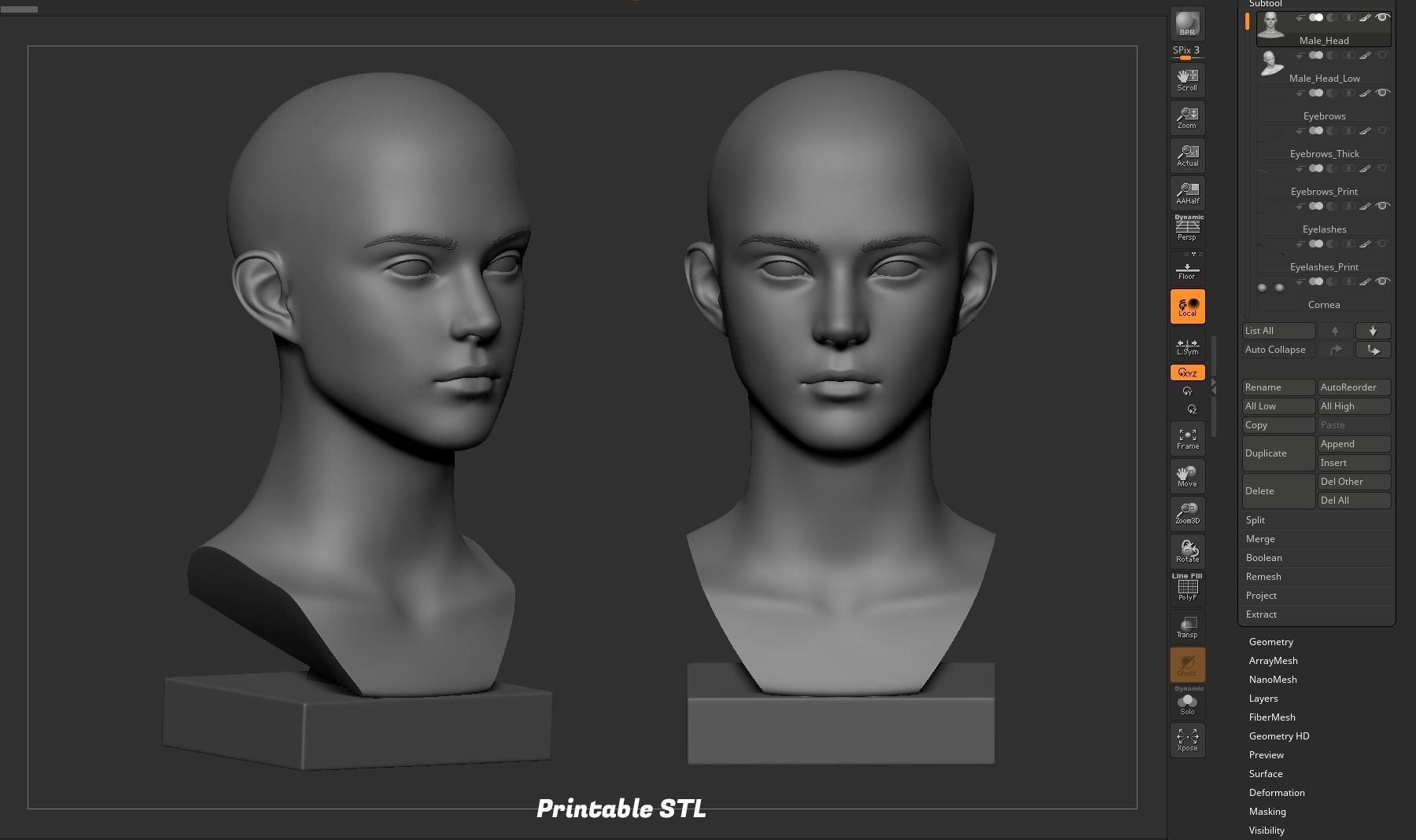 Young Male Head 3D model_28