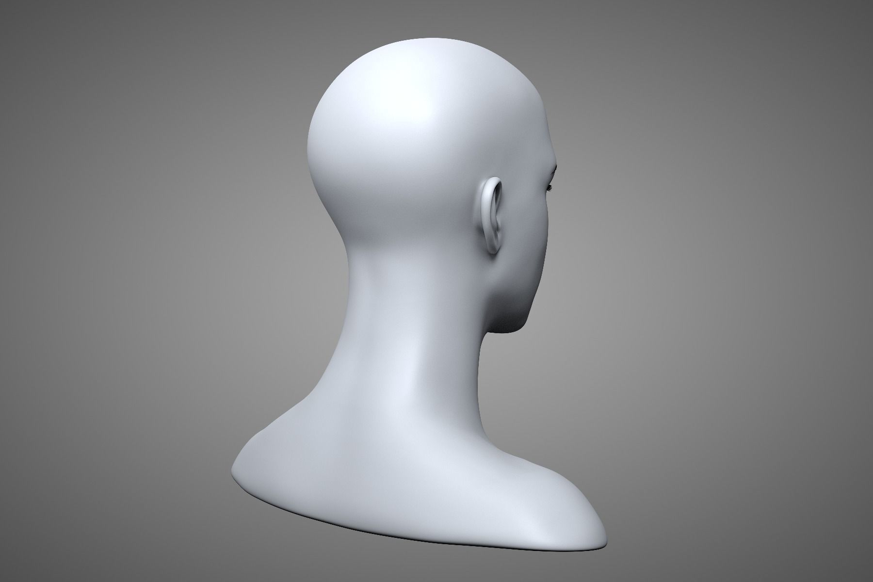 Young Male Head 3D model_8