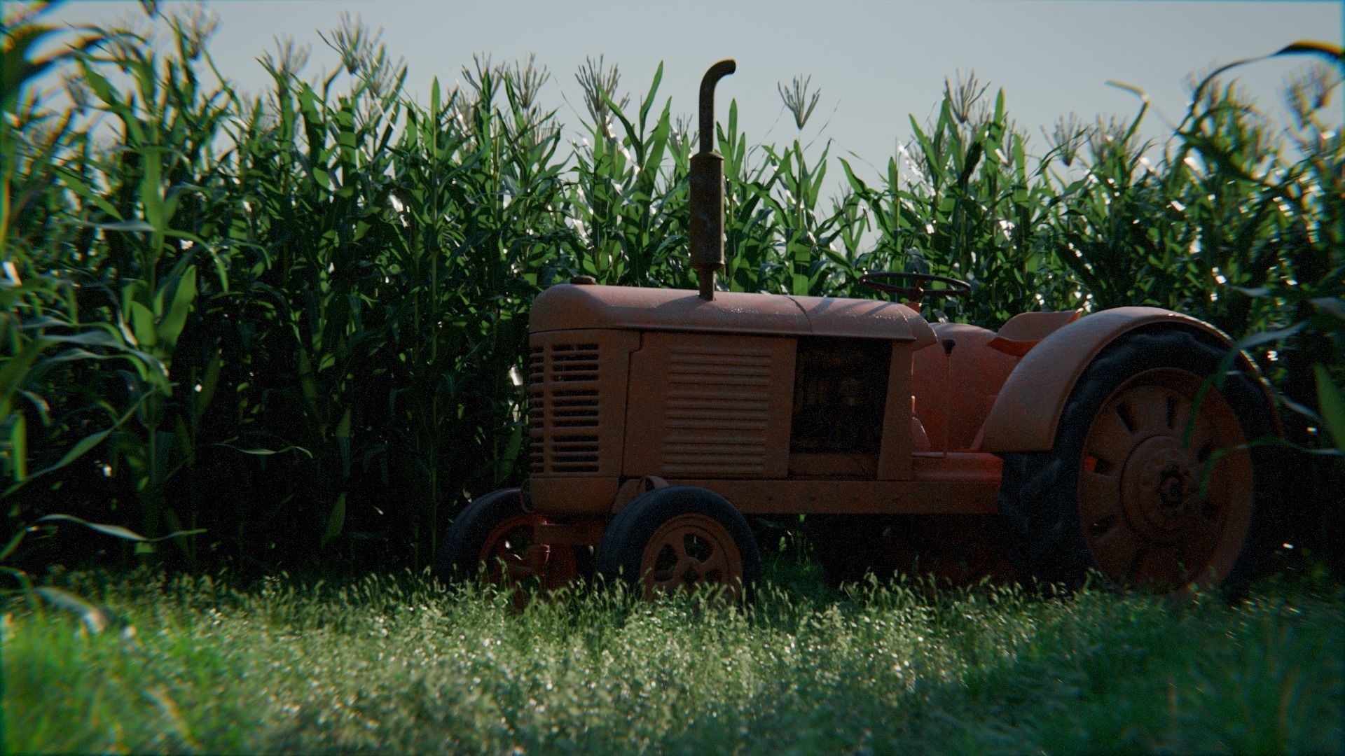 Old Tractor in a Cornfield 3d Scene 3D model_1