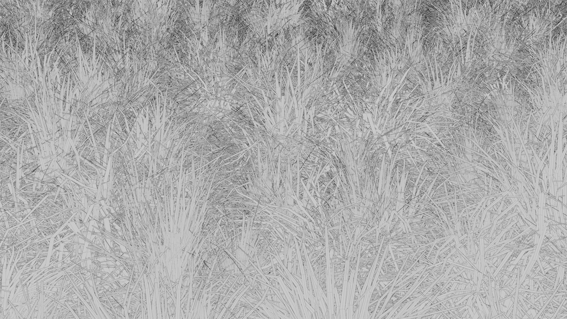 Old Tractor in a Cornfield 3d Scene 3D model_10