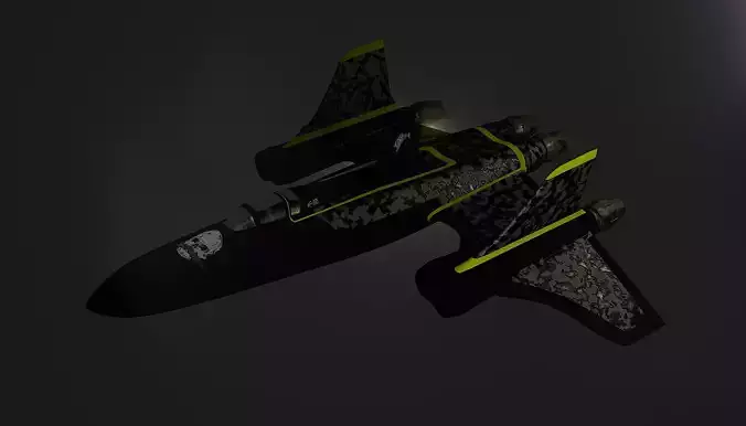 Stylized Black Aircraft with Skull