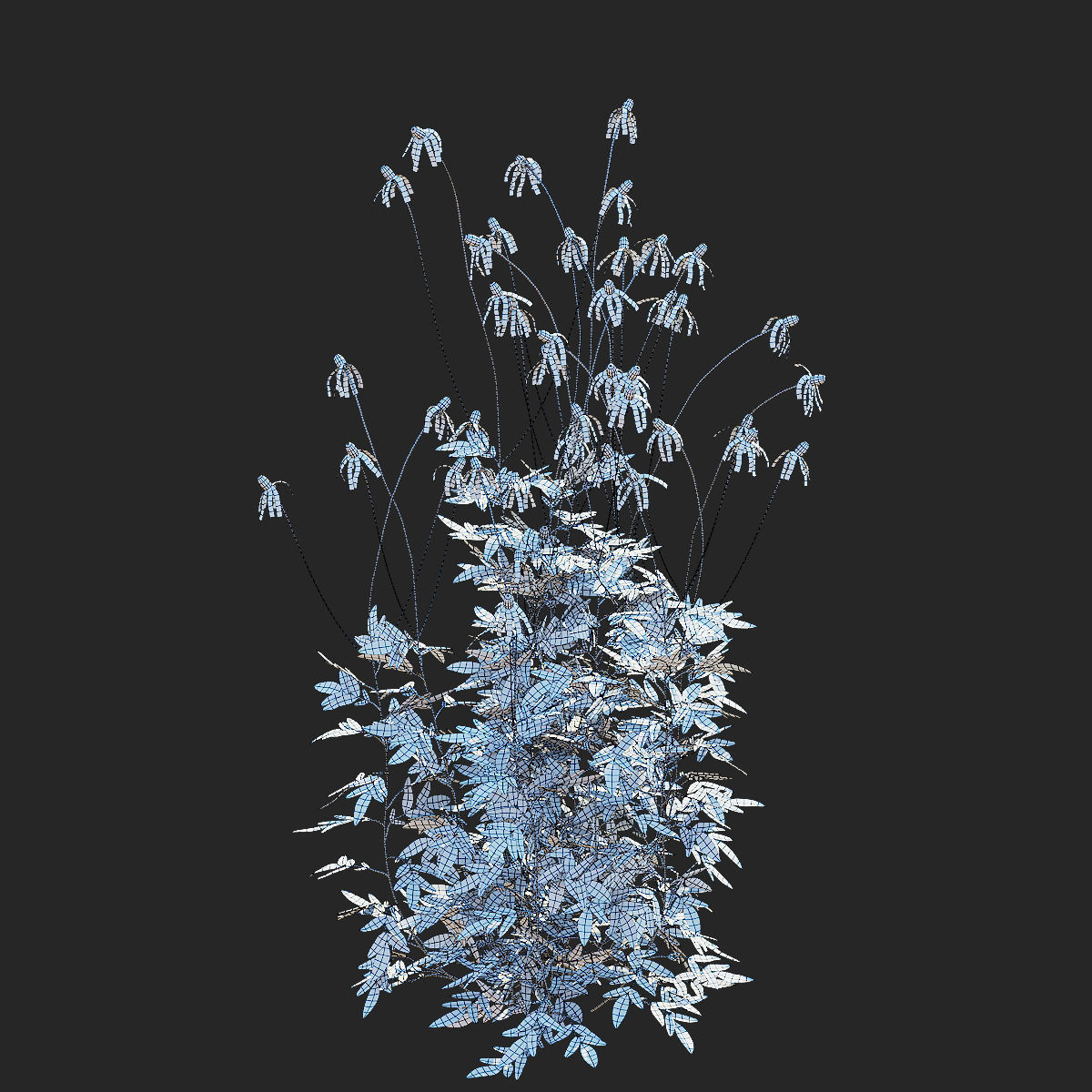 Ratibida pinnata flower 3D model_11