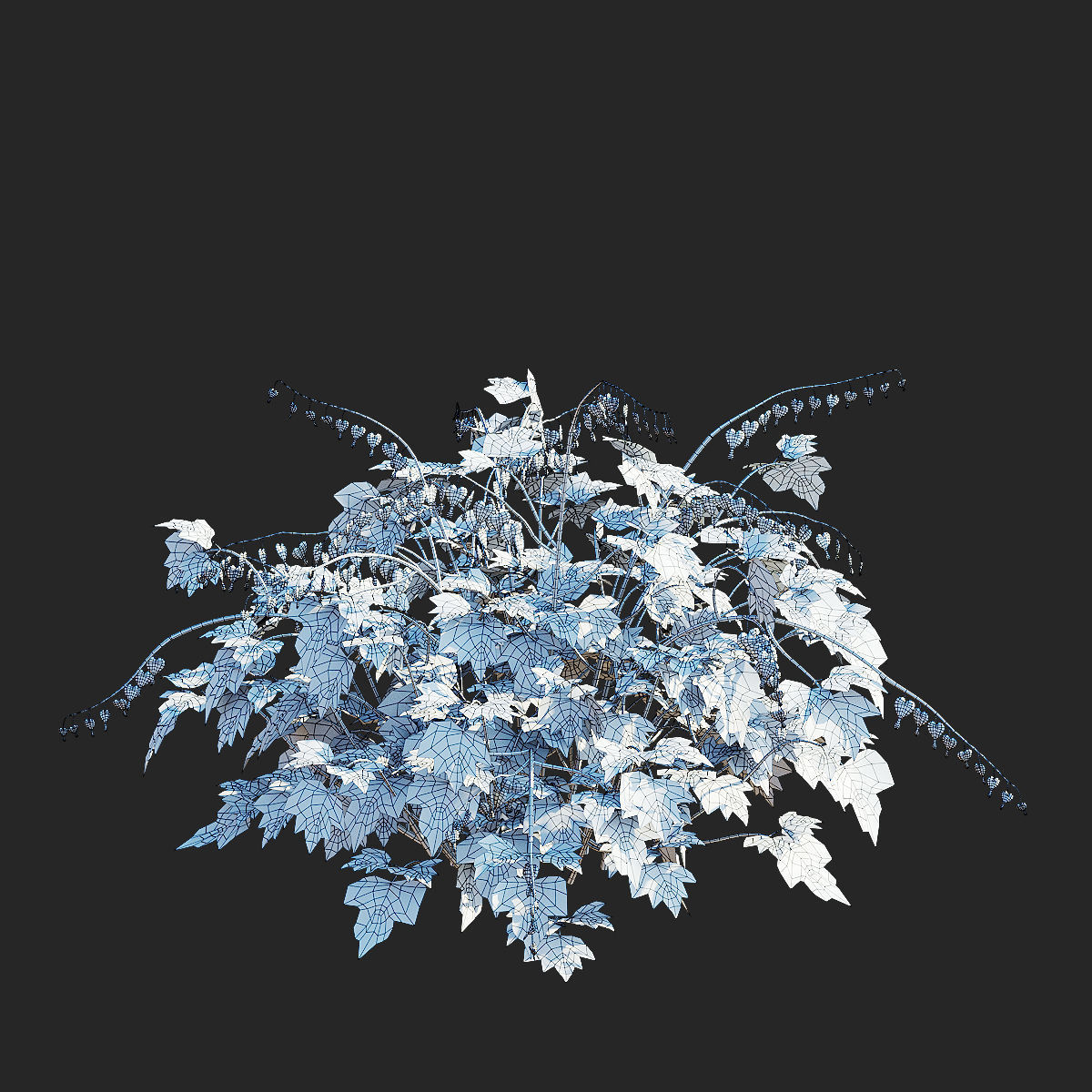 Dicentra spectabilis flower 3D model_8