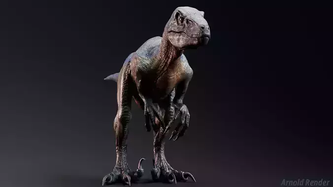 Raptor Dinosaur - Hybrid Velociraptor - Unreal Engine Project Low-poly 3D model