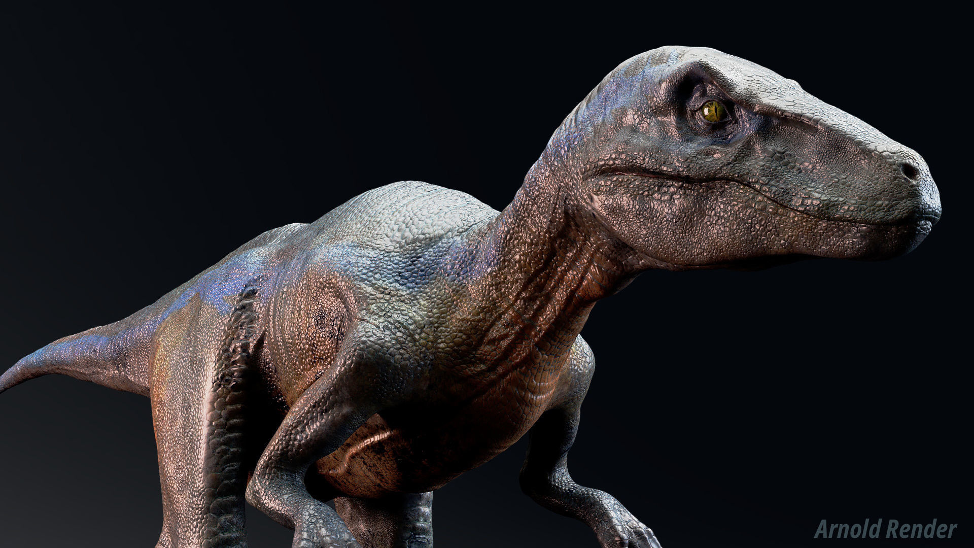 Dinosaur Raptor - Hybrid Velociraptor - Unreal Engine Project Low-poly 3D model_2