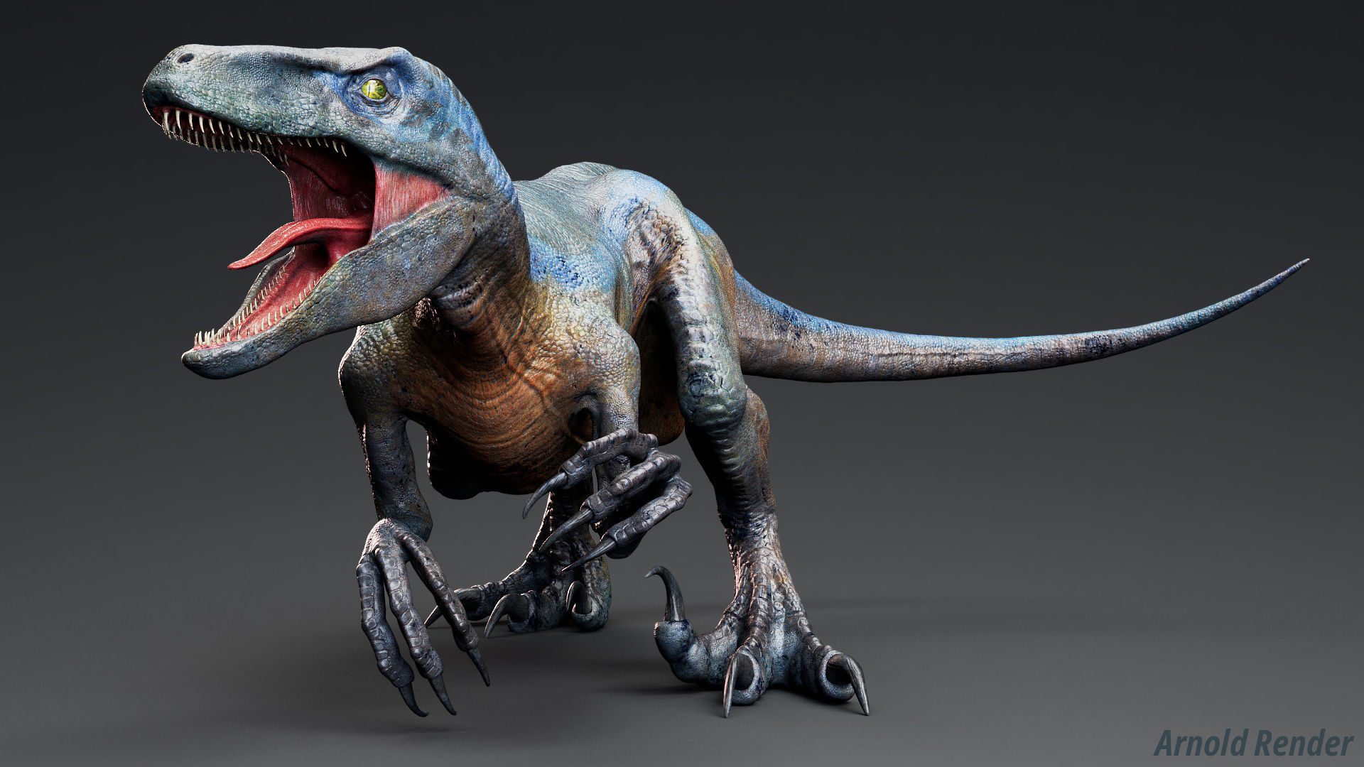 Dinosaur Raptor - Hybrid Velociraptor - Unreal Engine Project Low-poly 3D model_3