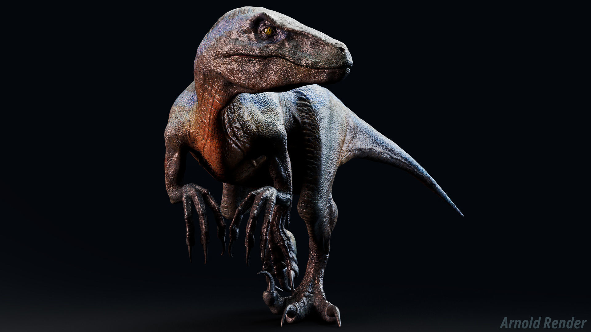 Dinosaur Raptor - Hybrid Velociraptor - Unreal Engine Project Low-poly 3D model_4