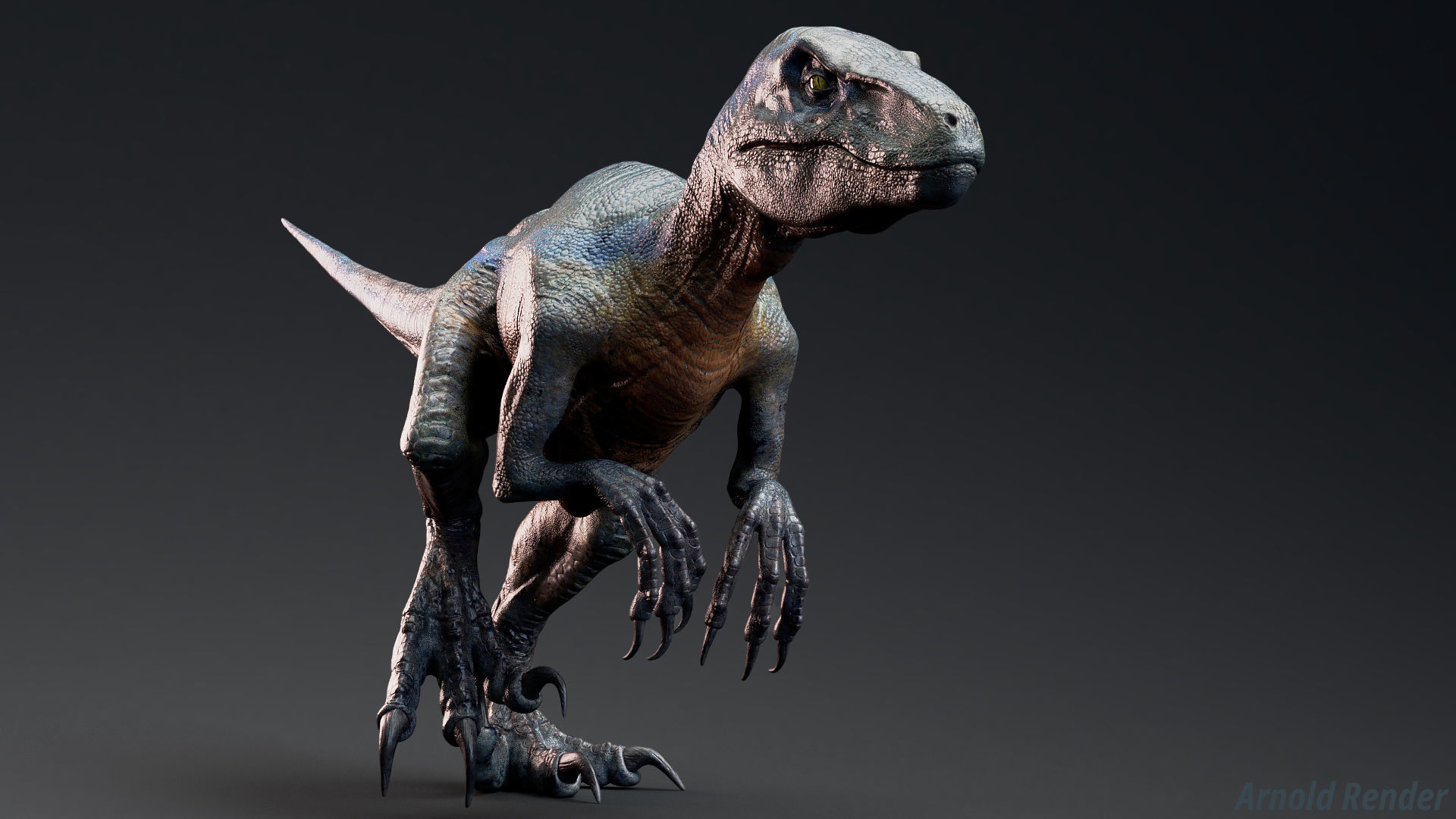 Raptor Dinosaur - Hybrid Velociraptor - Unity Engine Project Low-poly 3D model_5