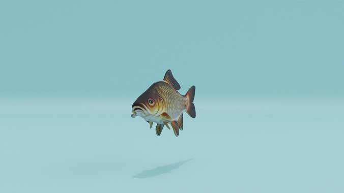 Carp Fish Low-poly 3D model
