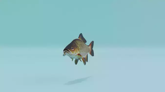 Carp Fish Low-poly 3D model
