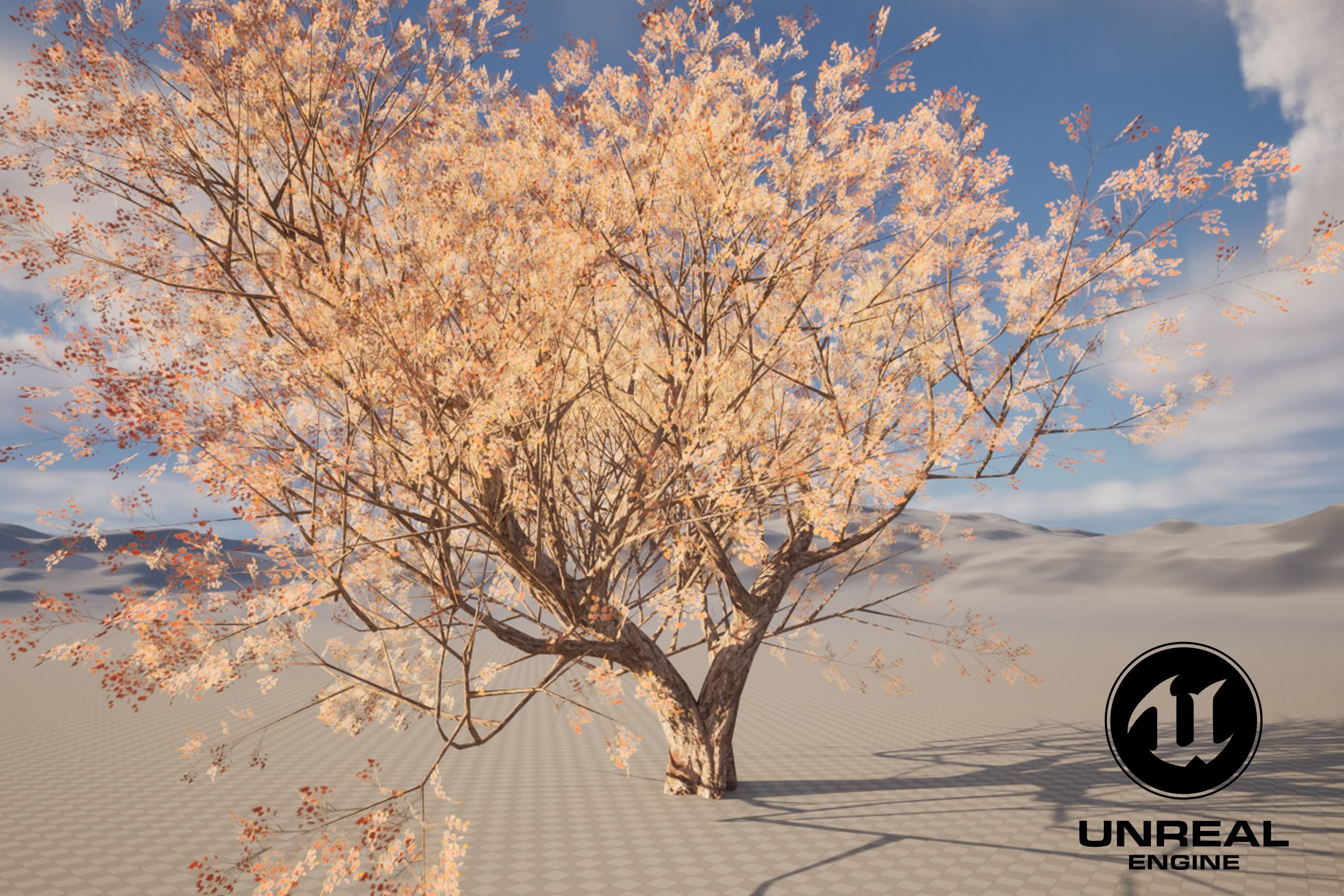 Maple tree 01 Low-poly 3D model_9