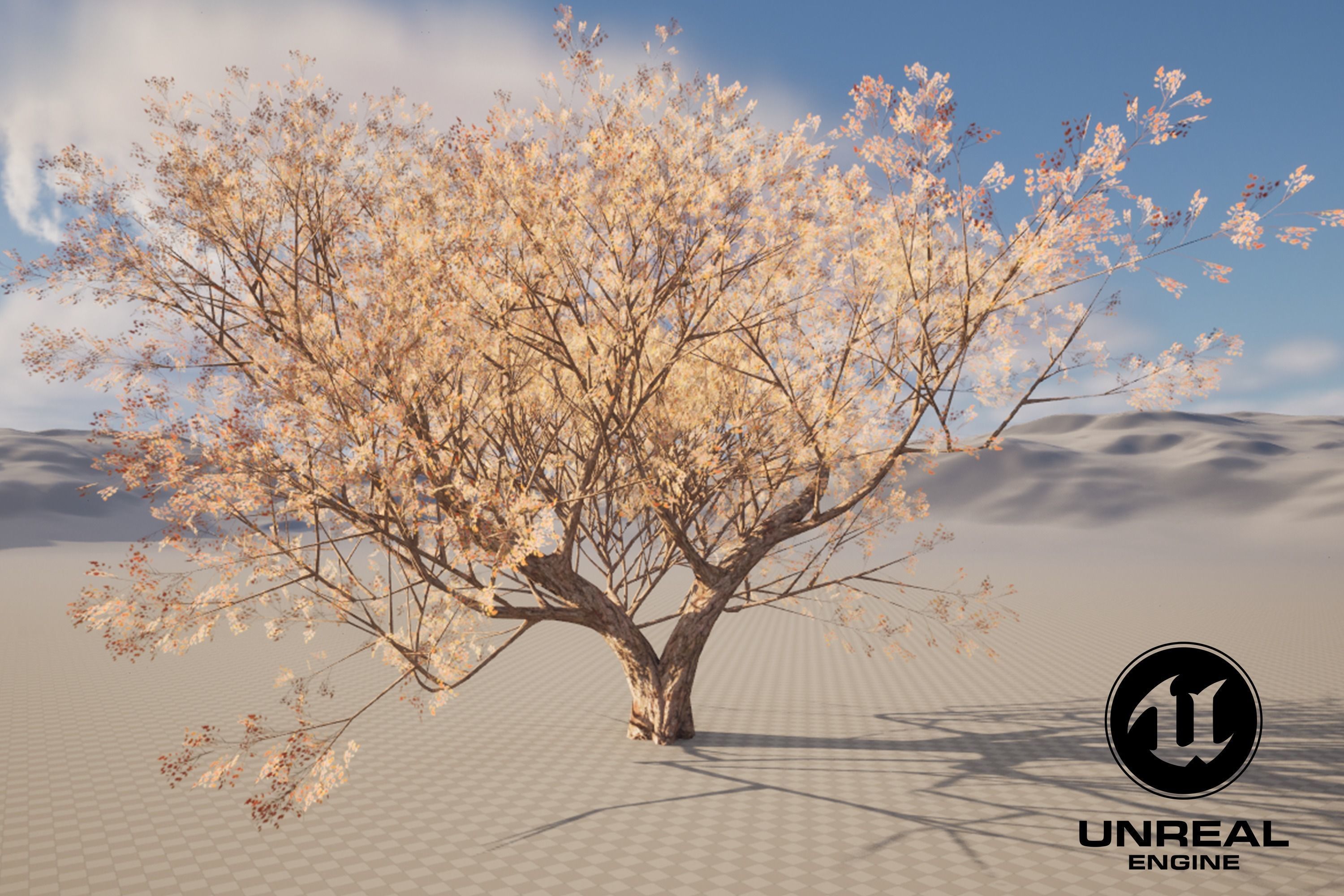 Maple tree 01 Low-poly 3D model_8