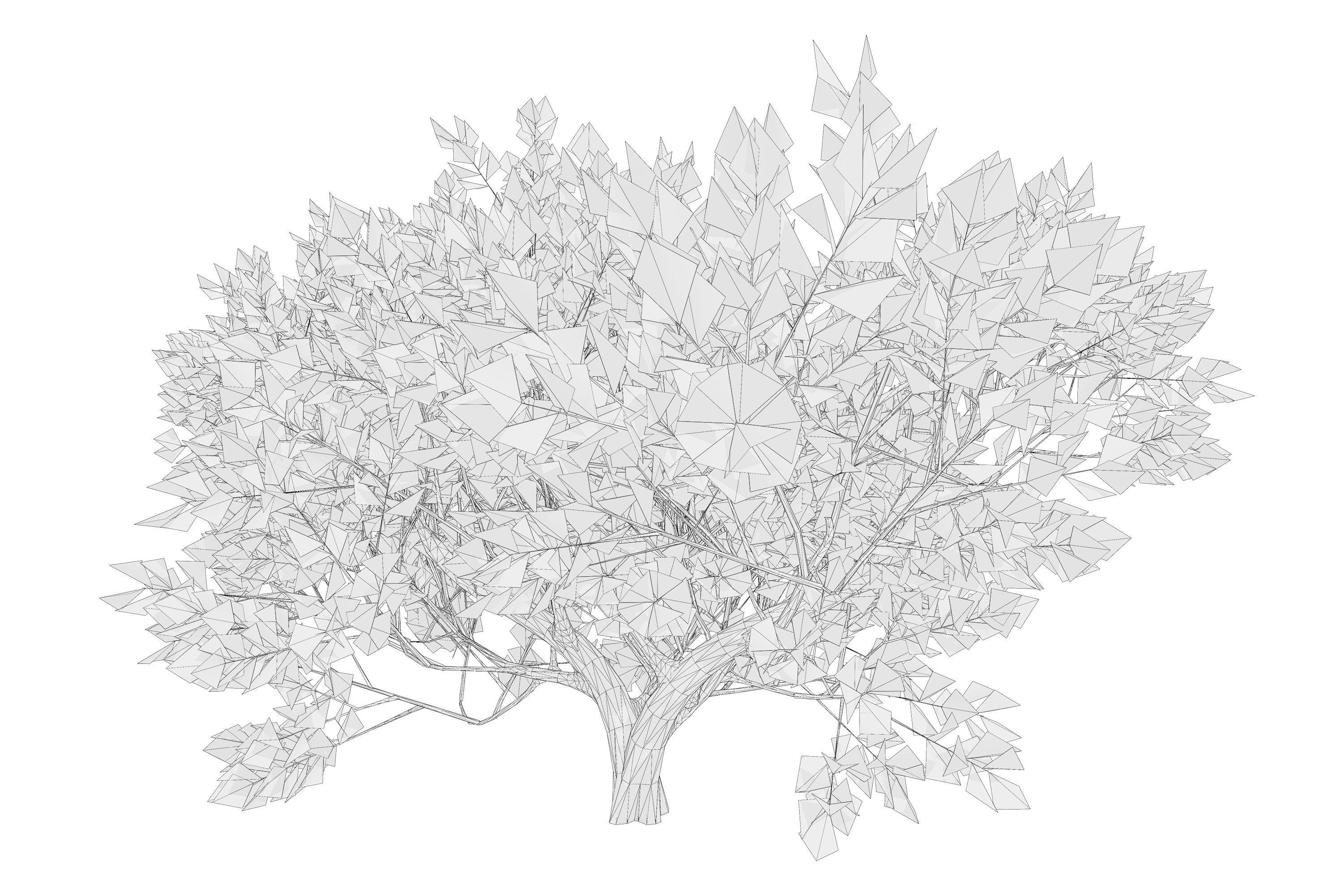 Maple tree 01 Low-poly 3D model_12