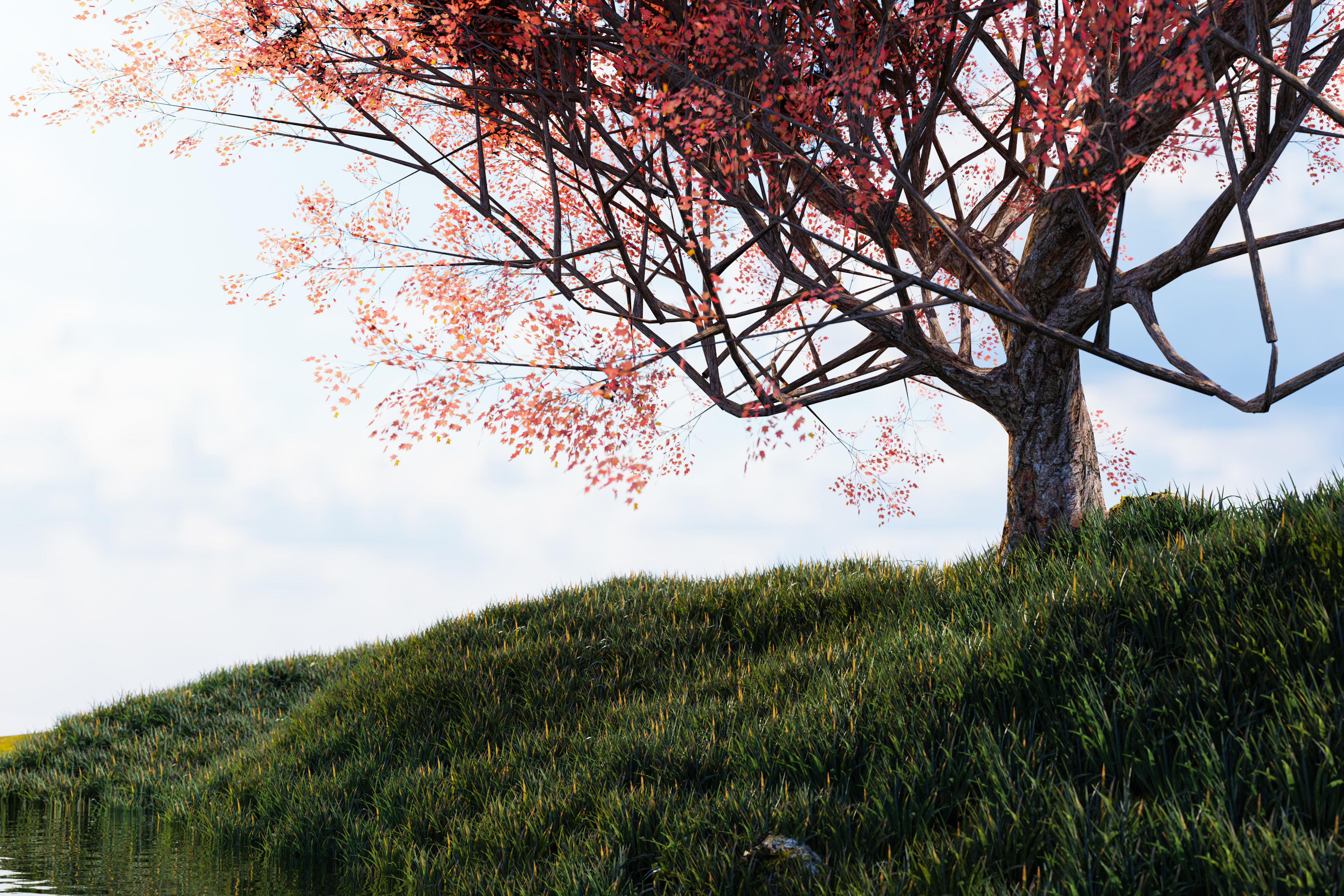 Maple tree 01 Low-poly 3D model_6