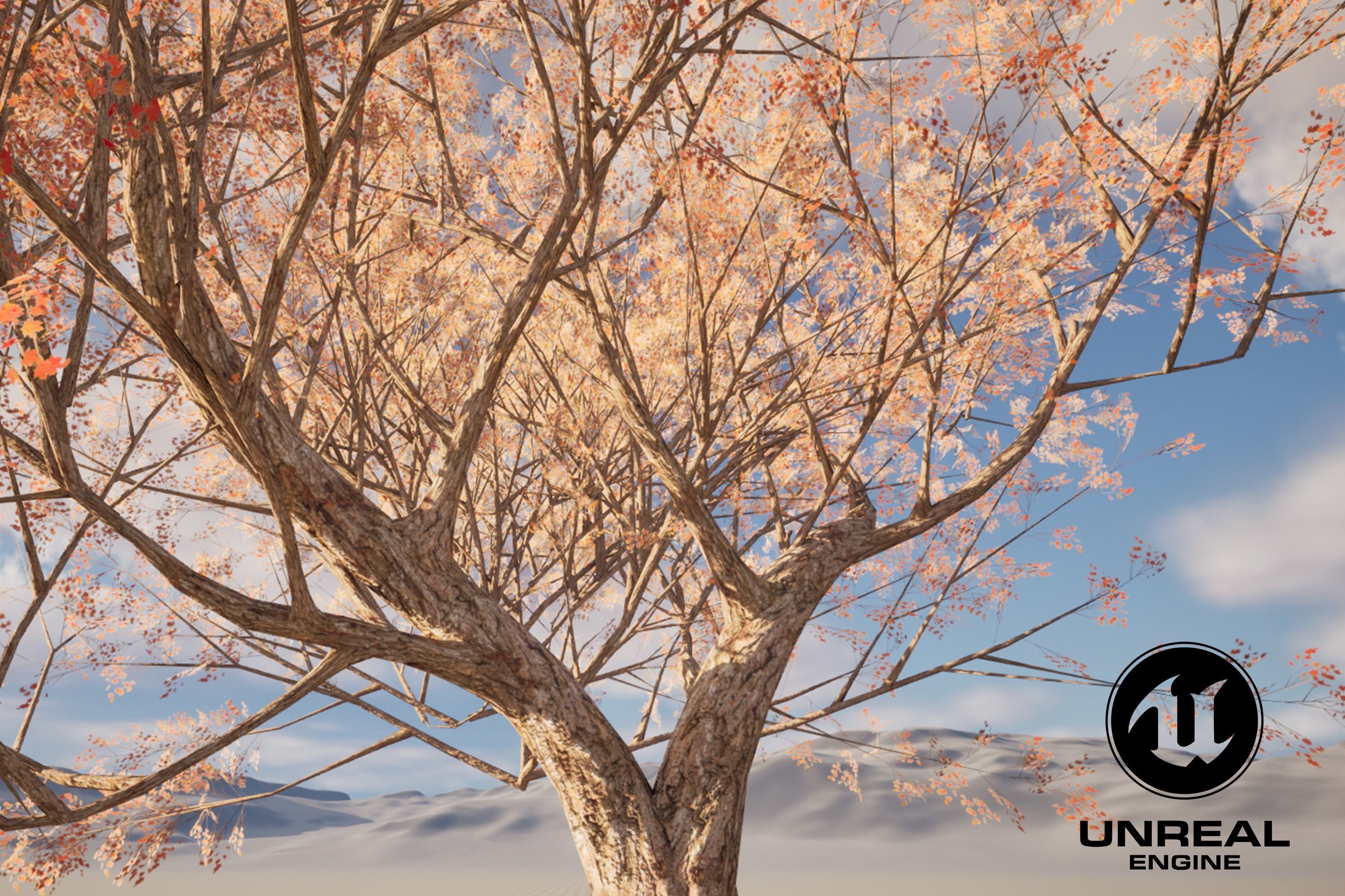 Maple tree 01 Low-poly 3D model_7