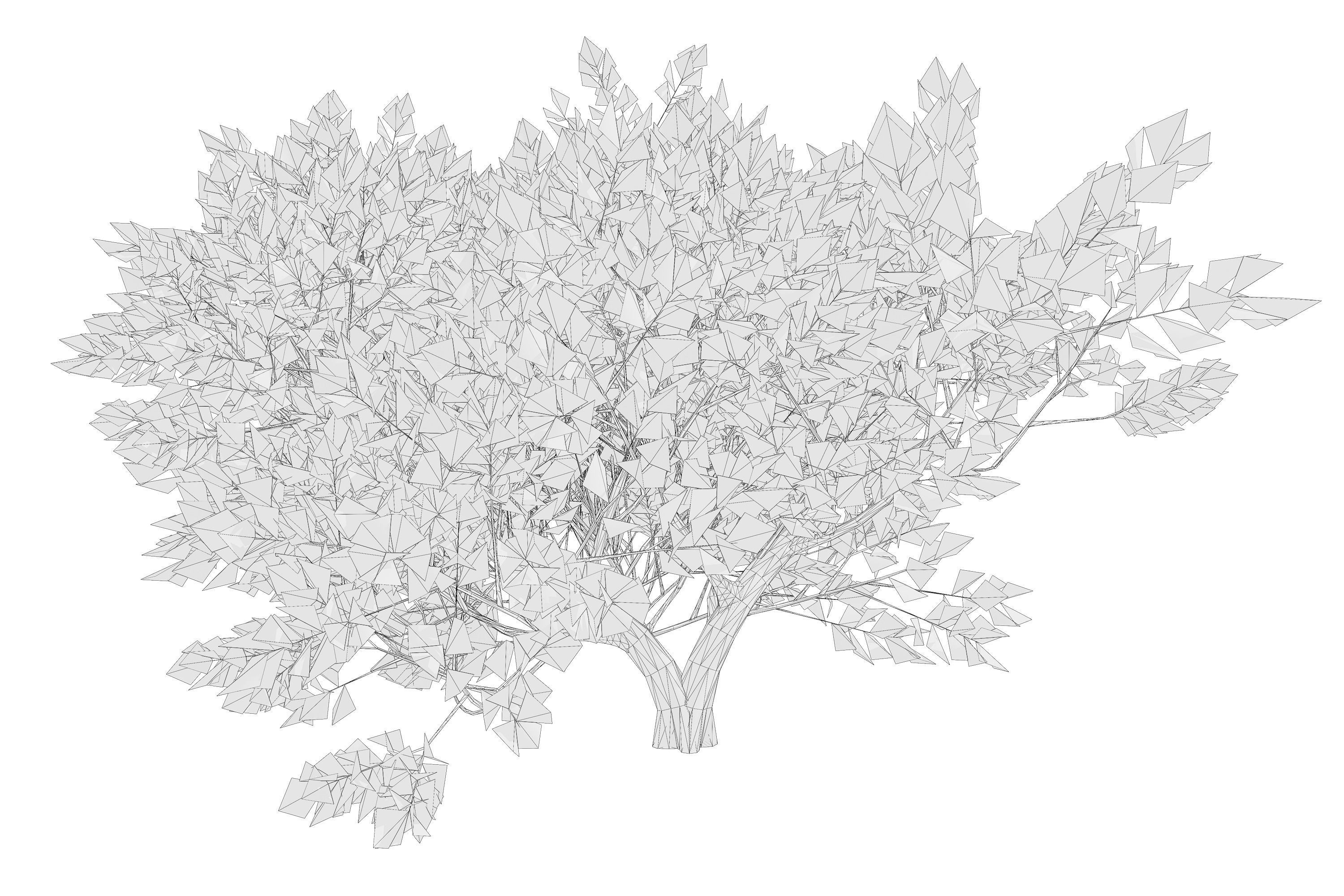 Maple tree 01 Low-poly 3D model_11