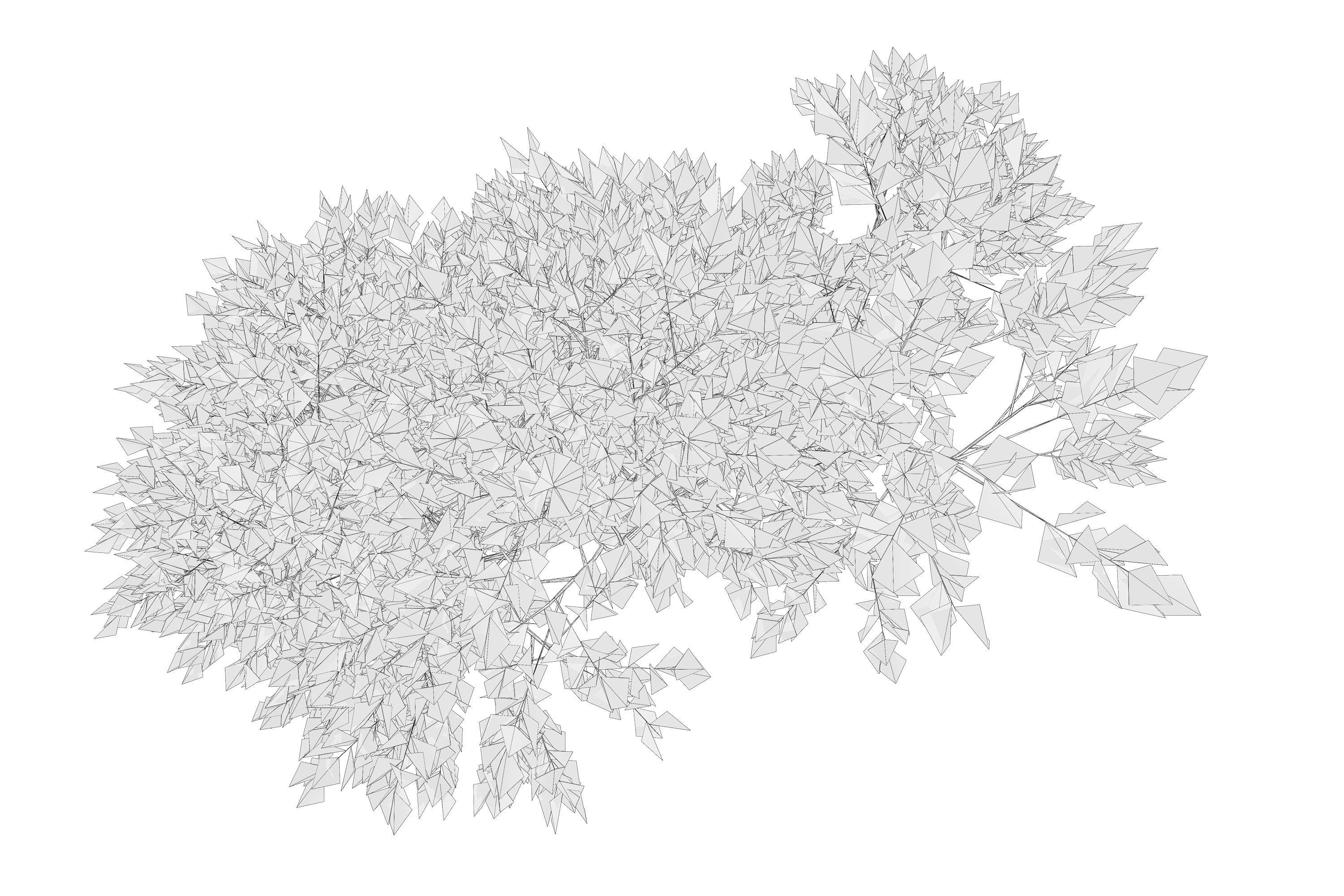 Maple tree 01 Low-poly 3D model_13