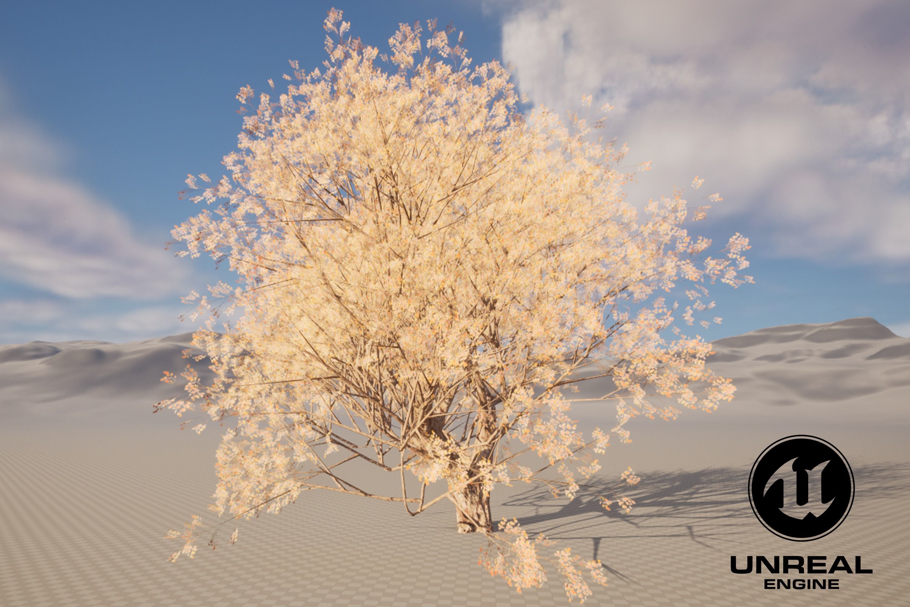 Maple tree 01 Low-poly 3D model_10