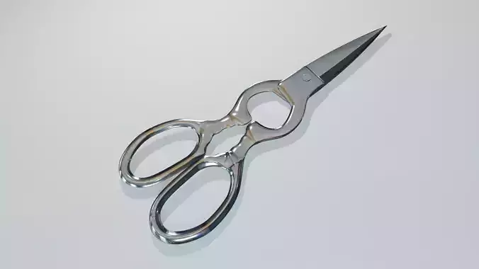 Professional kitchen scissors