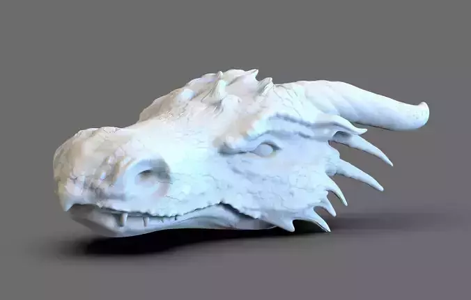 Dragon Head