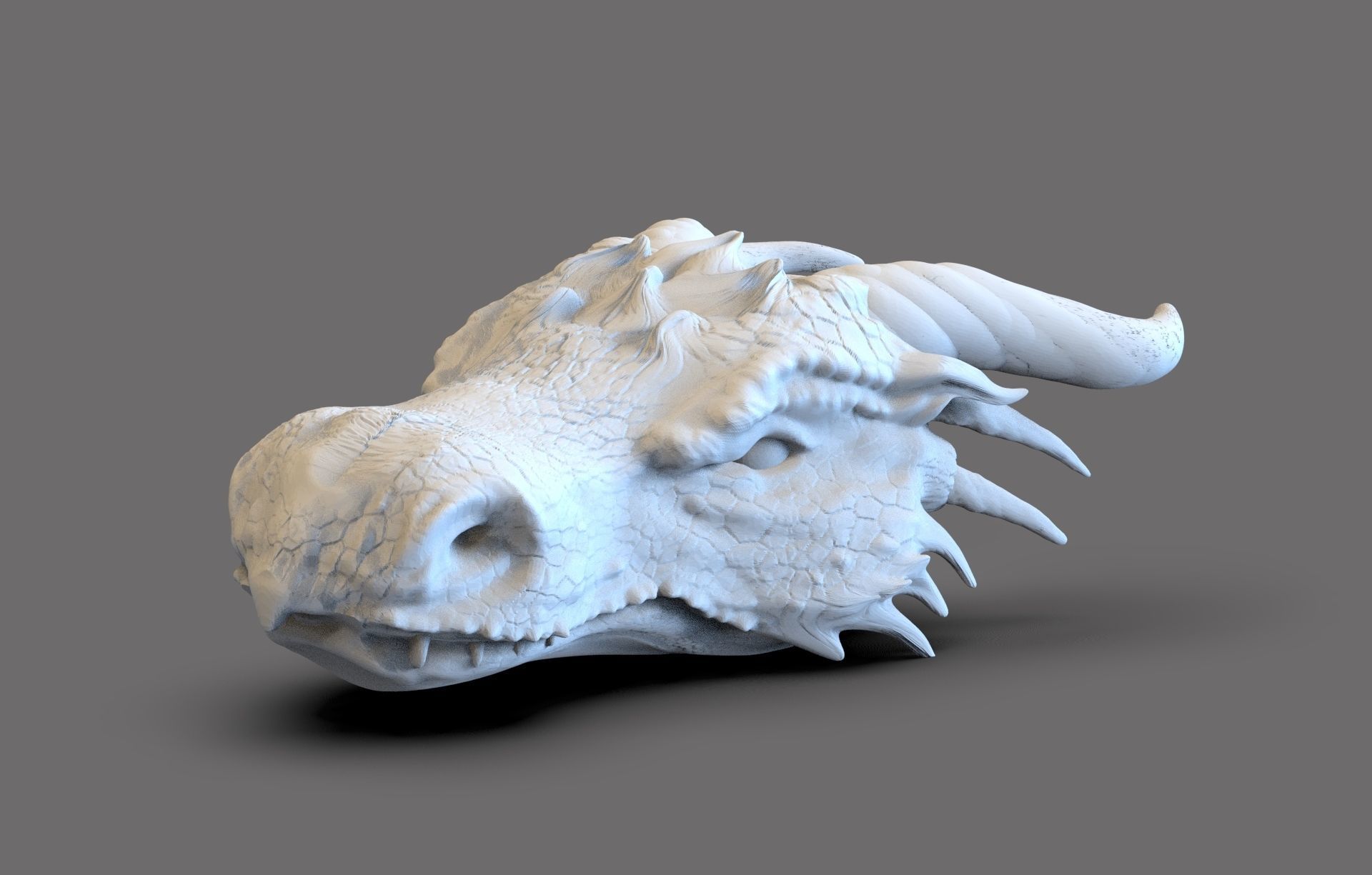 Dragon Head 3D print model_4