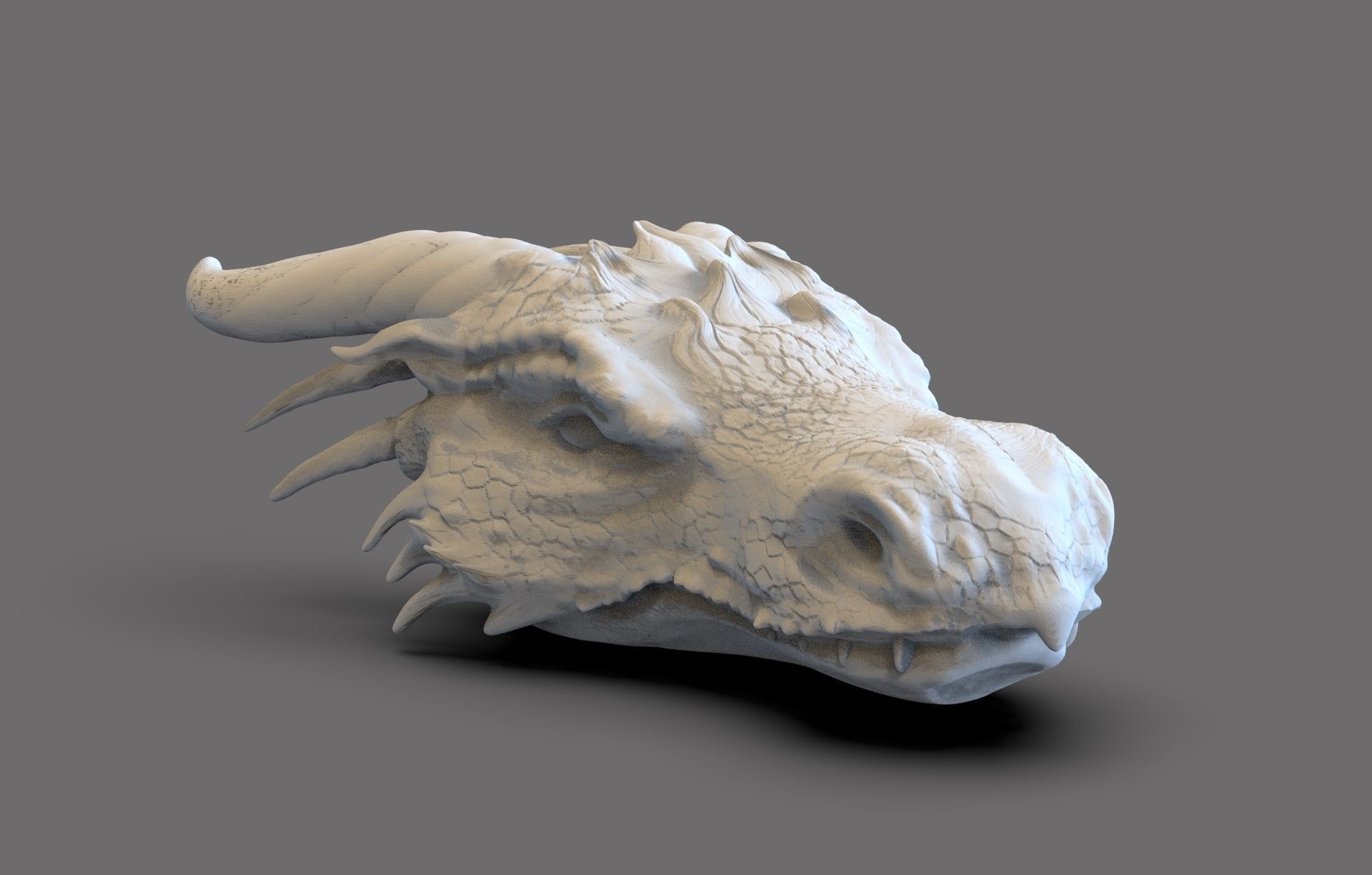 Dragon Head 3D print model_3