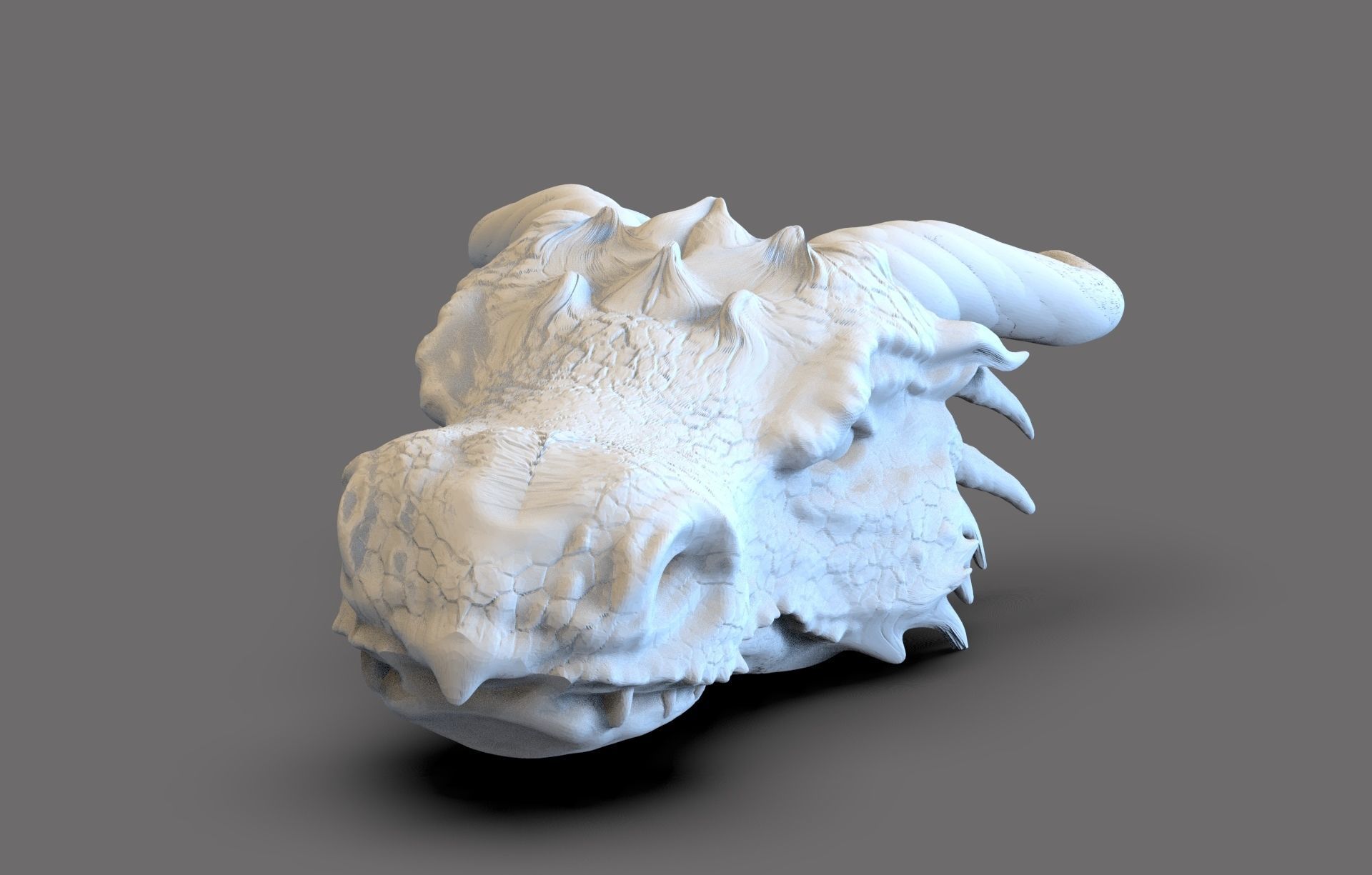 Dragon Head 3D print model_1