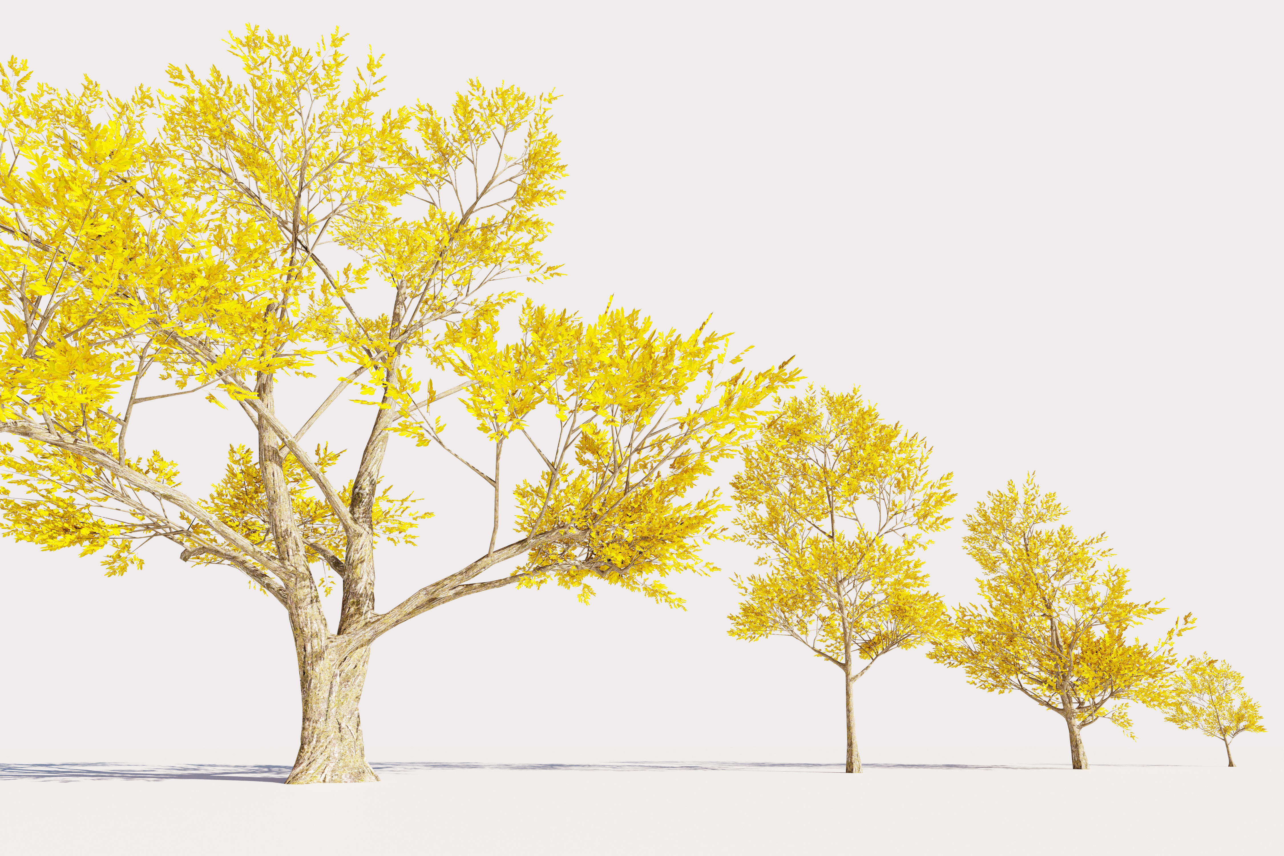 Trees collection Low-poly 3D model _7