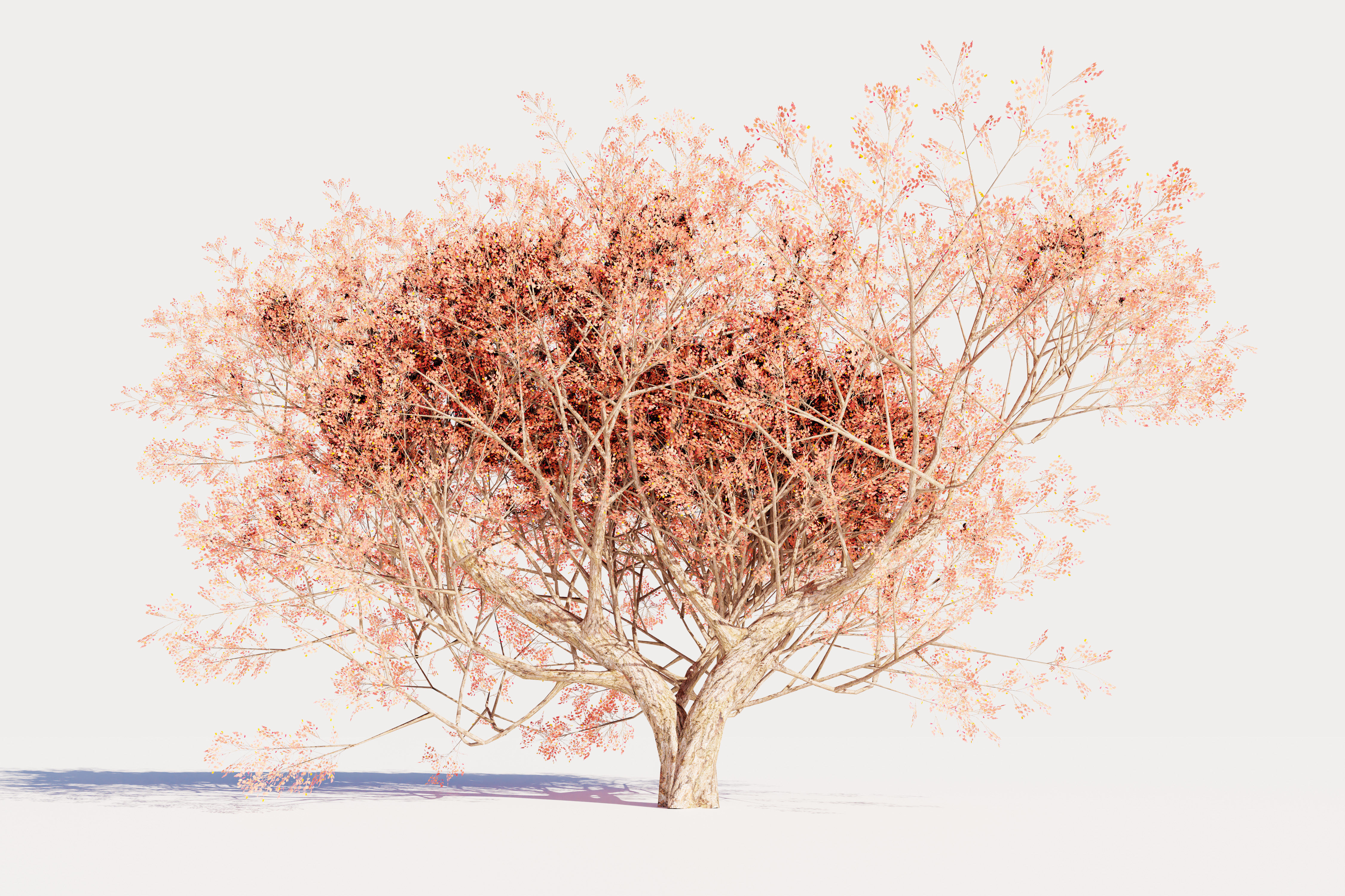 Trees collection Low-poly 3D model _2