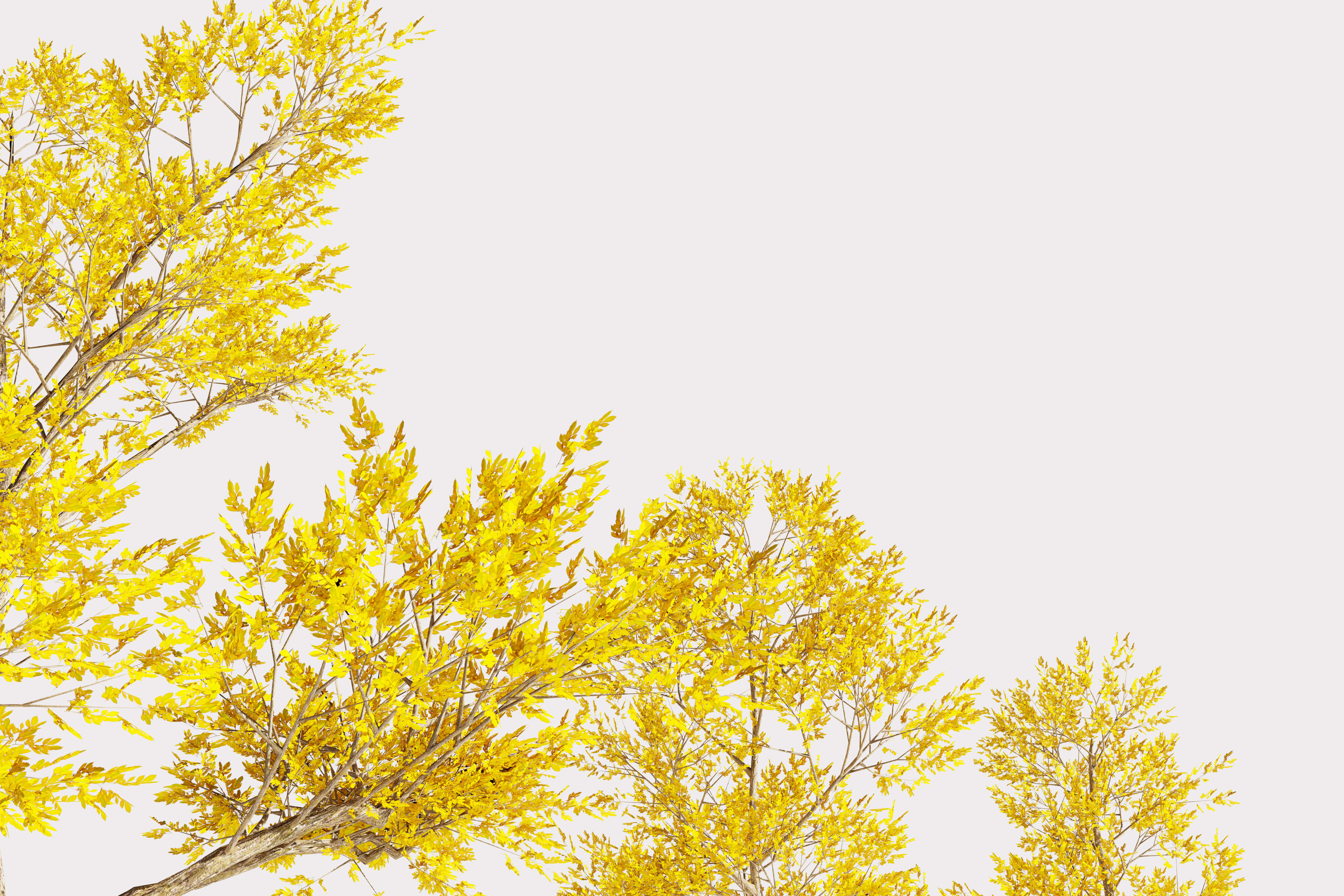 Trees collection Low-poly 3D model _16