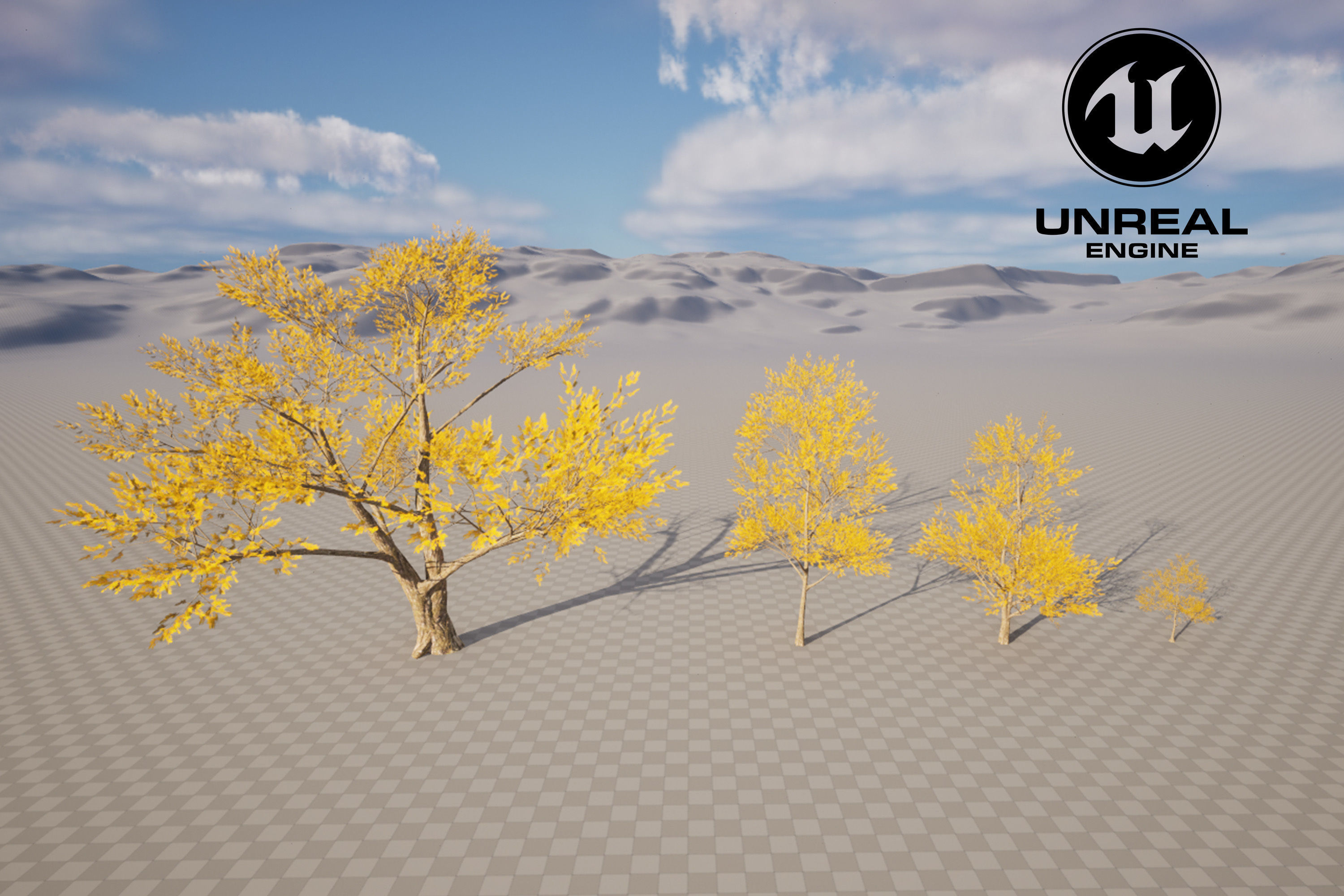 Trees collection Low-poly 3D model _18