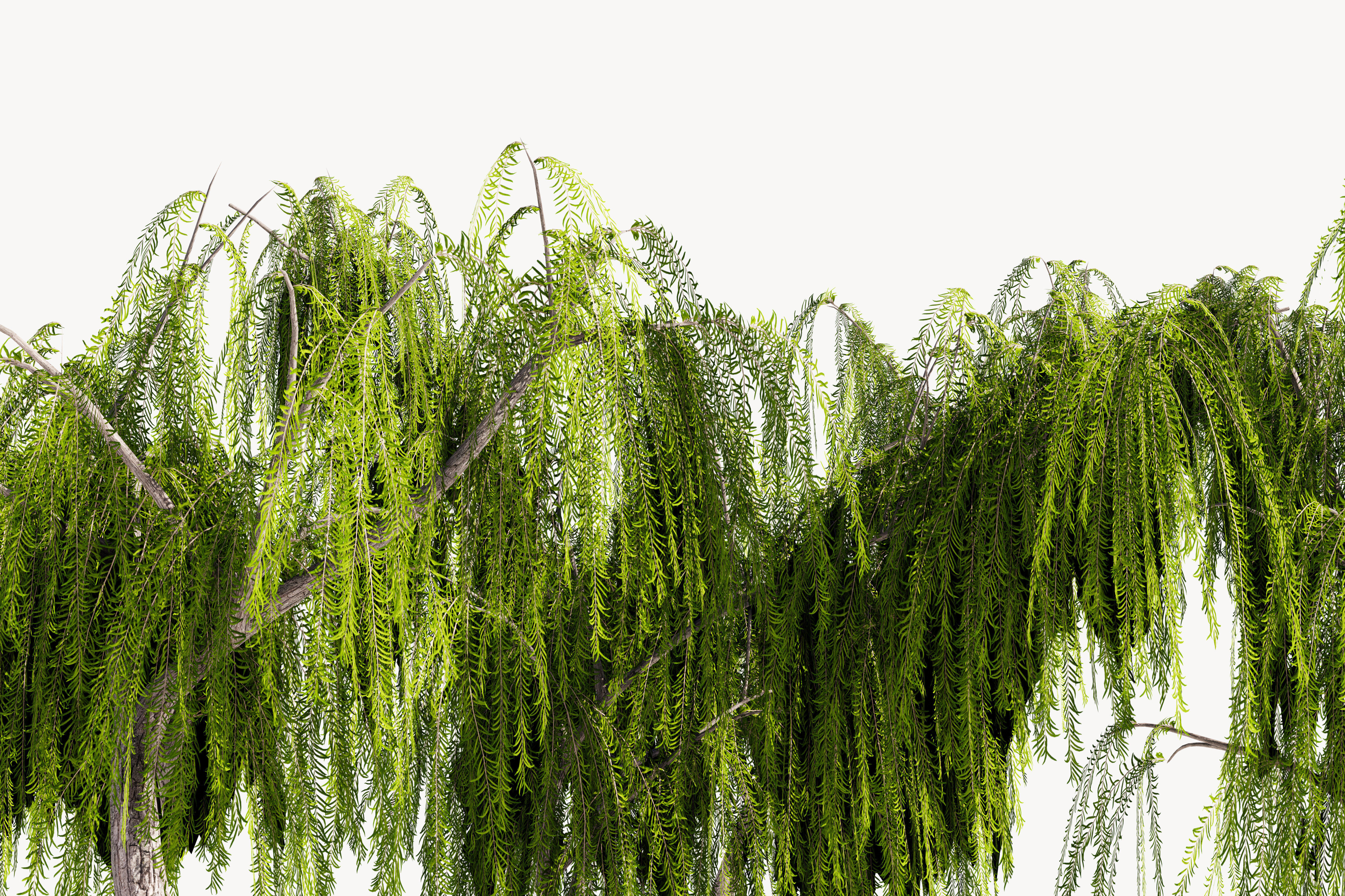 Trees collection Low-poly 3D model _10