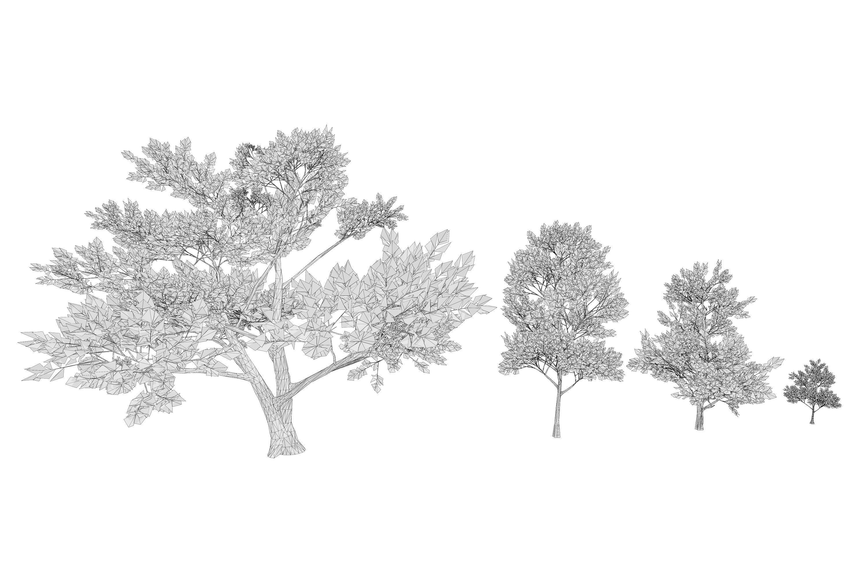 Trees collection Low-poly 3D model _23