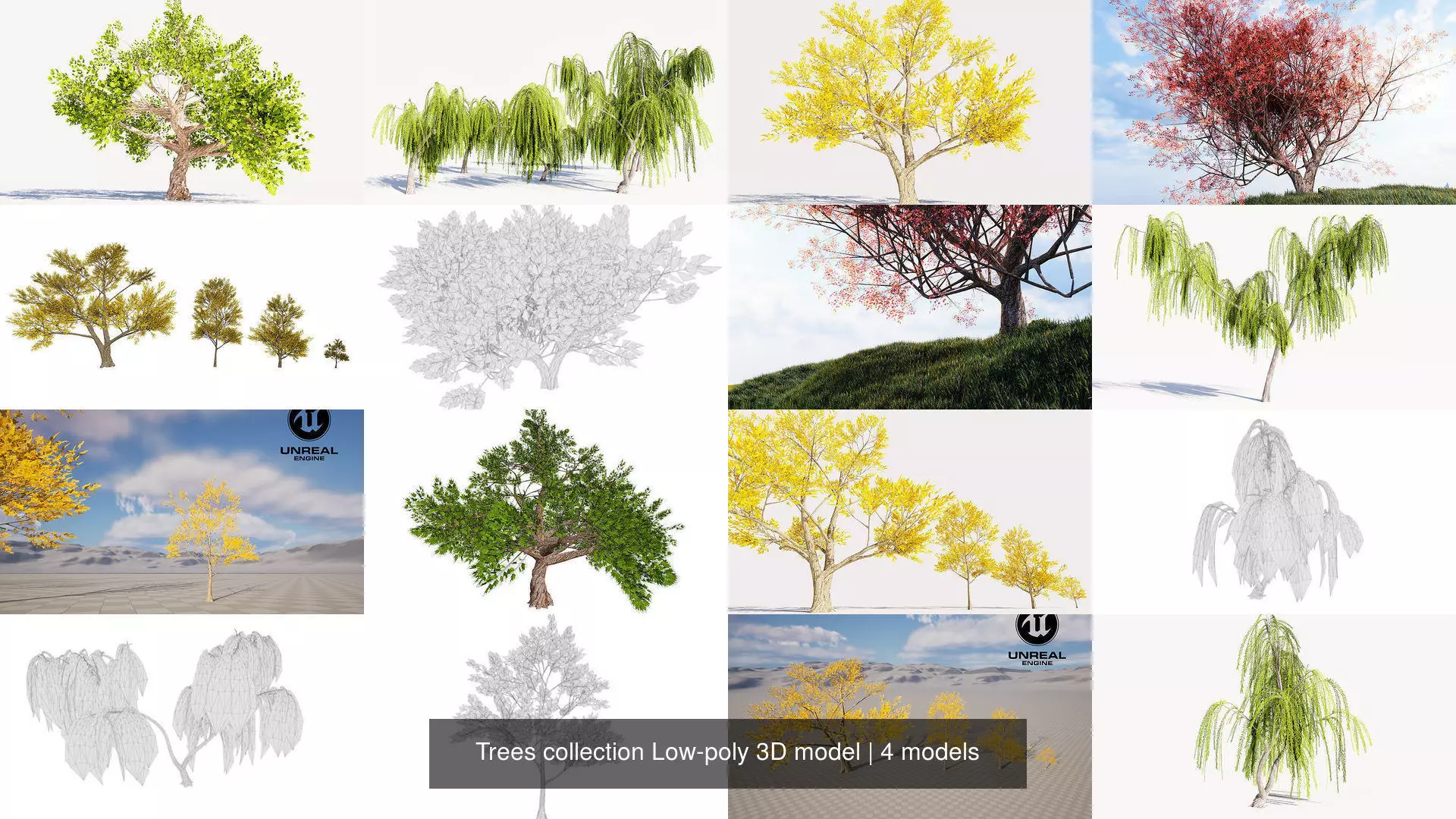 Trees collection Low-poly 3D model _1