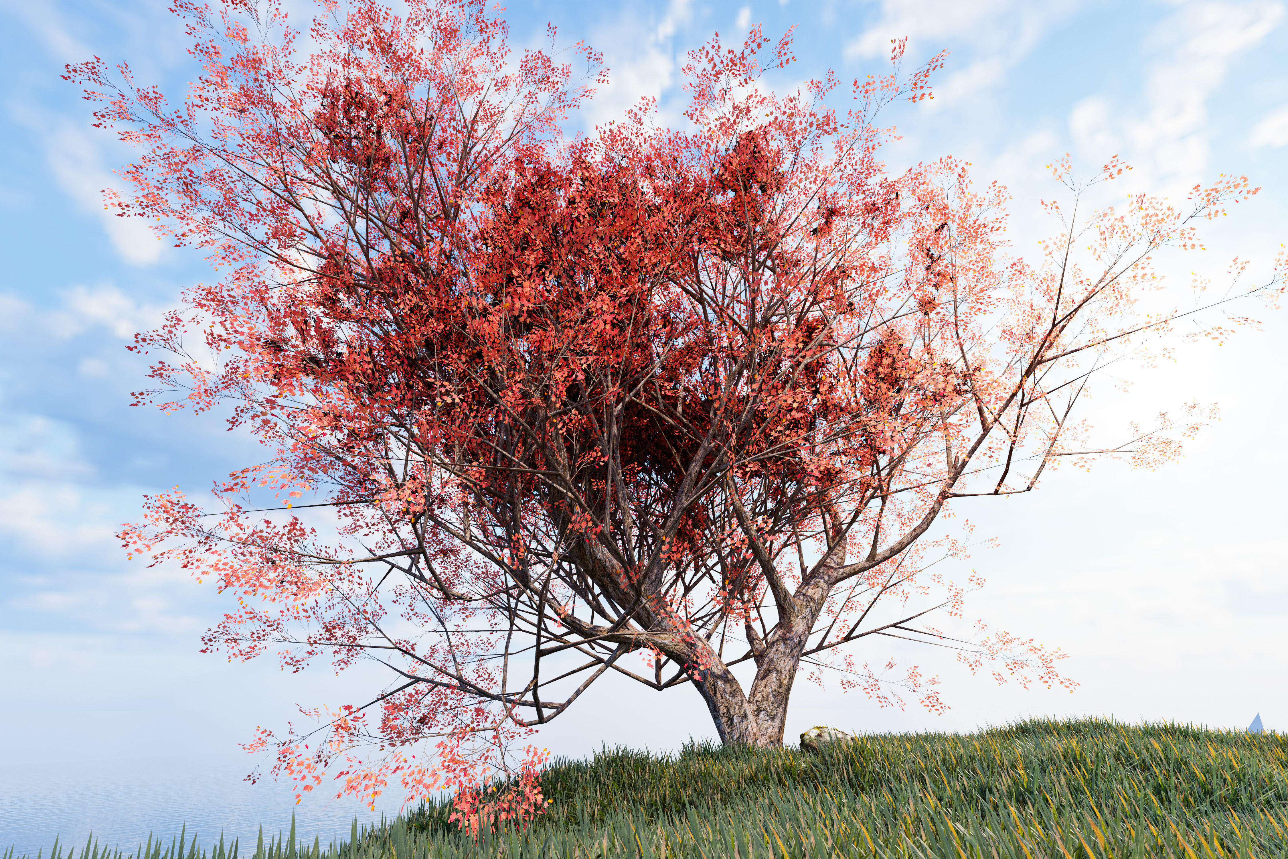 Trees collection Low-poly 3D model _17