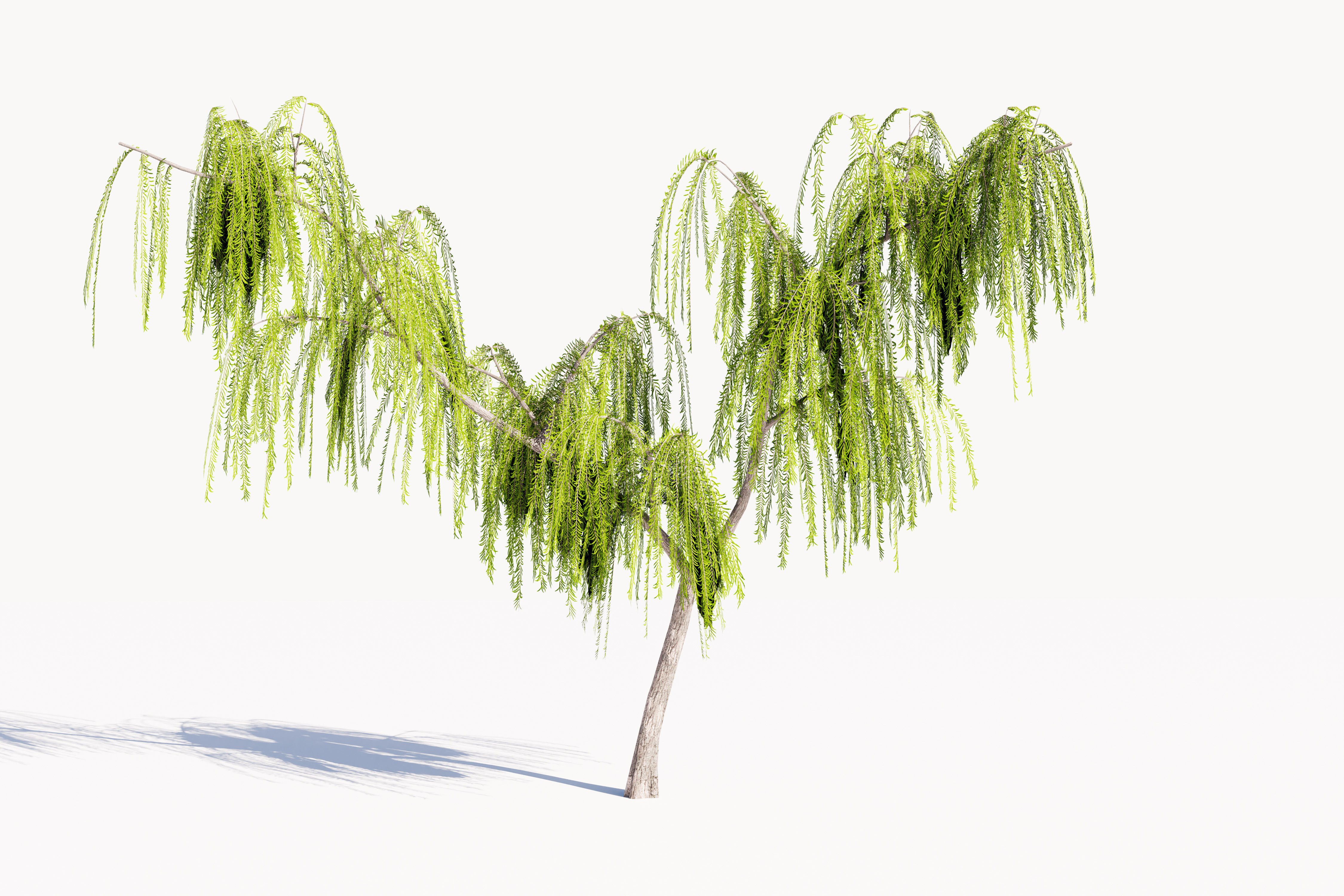 Trees collection Low-poly 3D model _11