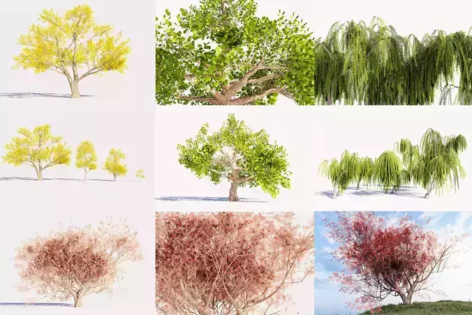 Trees collection Low-poly 3D model 
