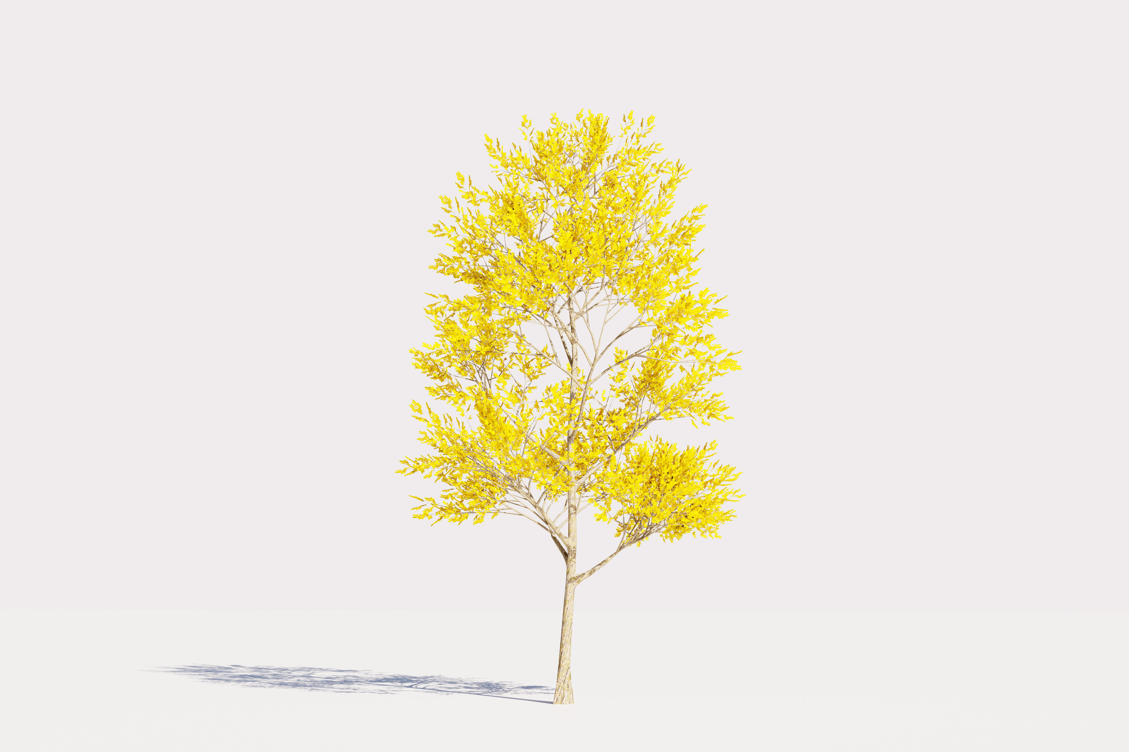 Trees collection Low-poly 3D model _12