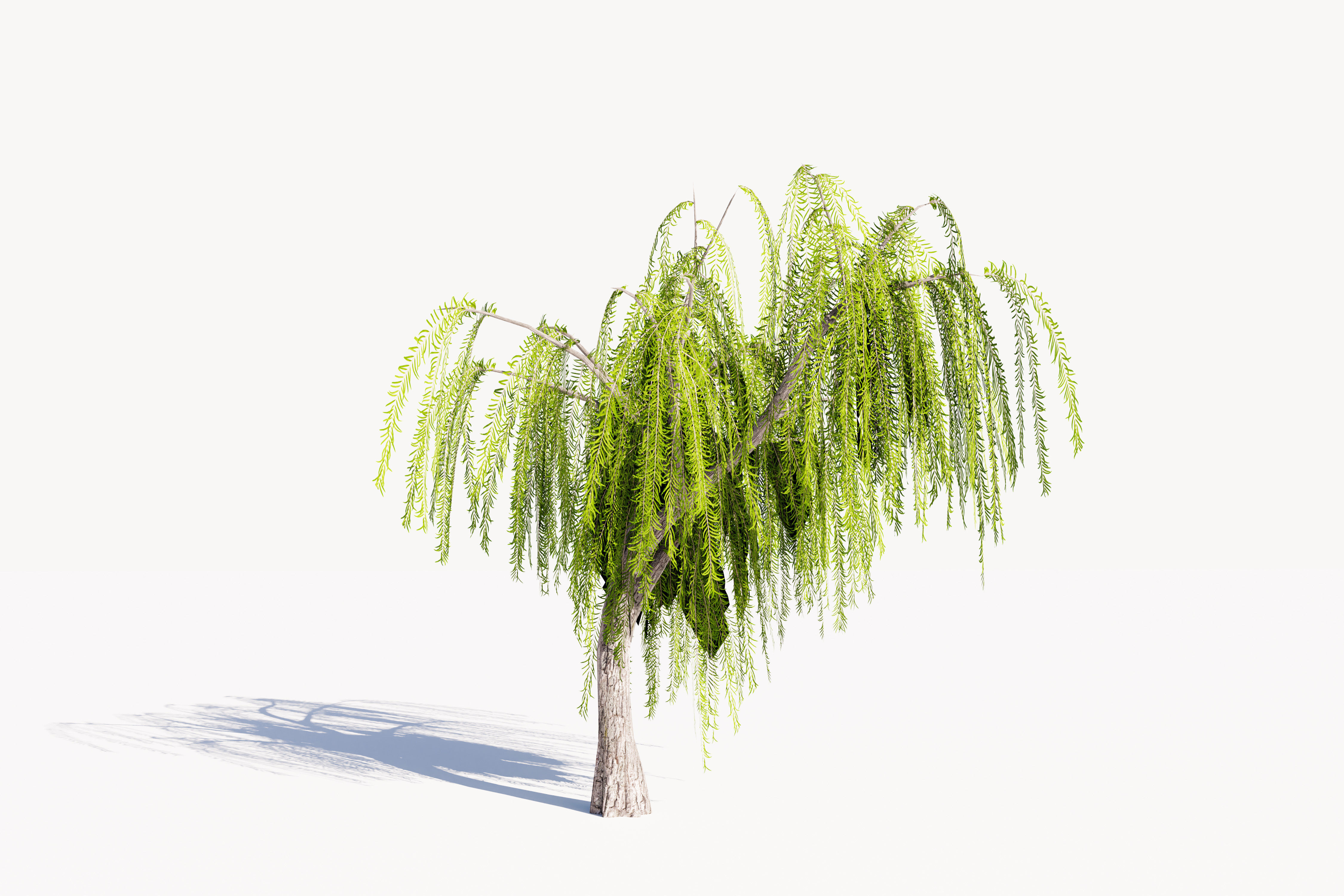 Trees collection Low-poly 3D model _5