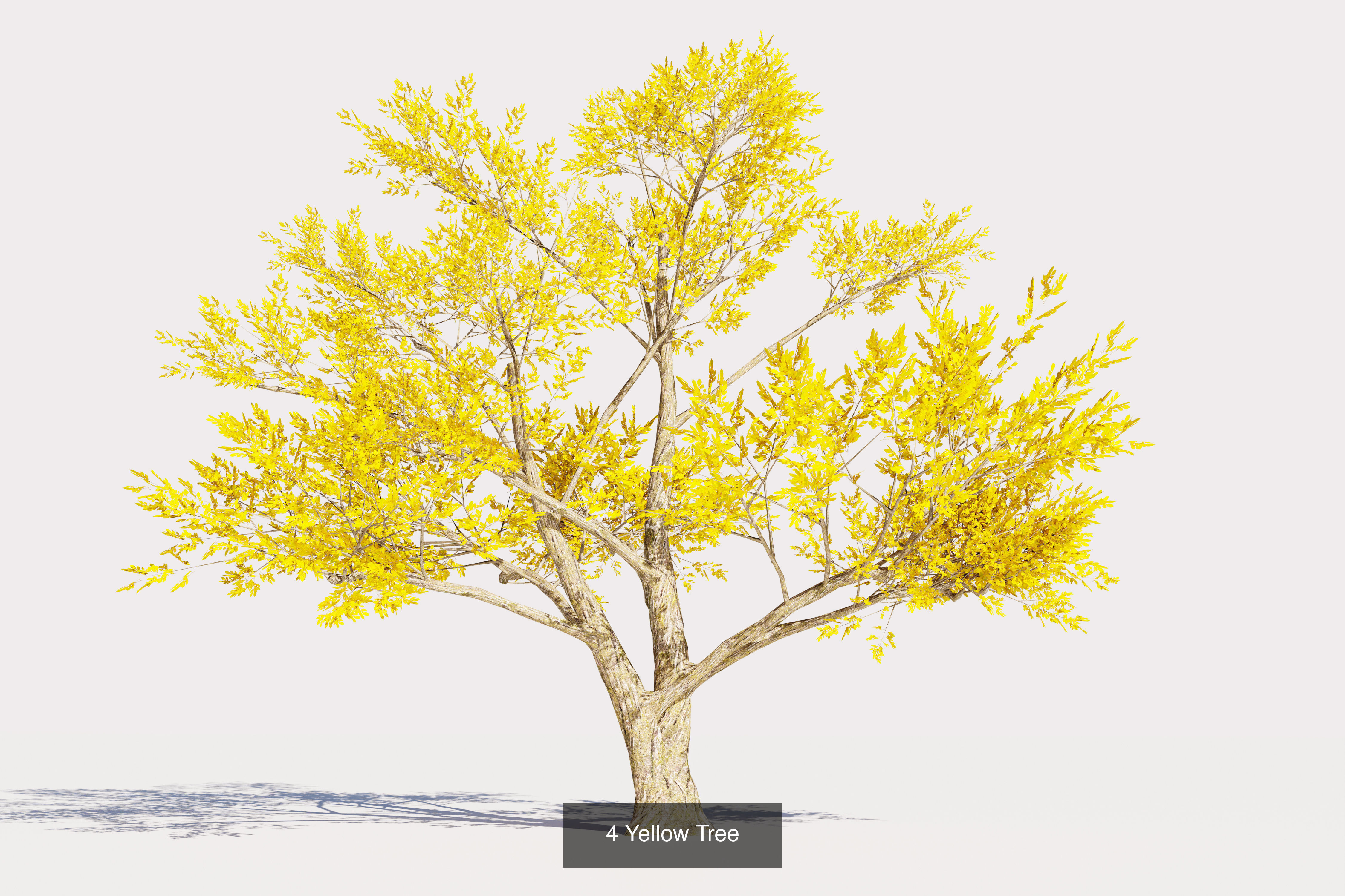 Trees collection Low-poly 3D model _4