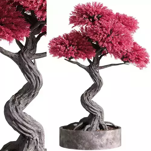 indoor plants - 50 plant in pot