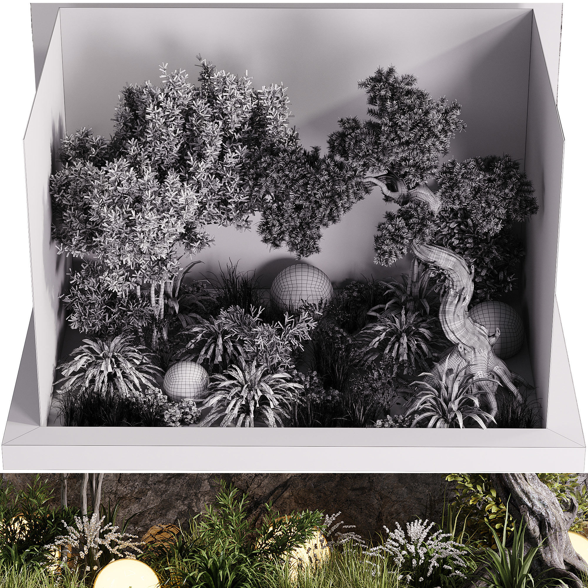 indoor plants - 60 plant in pot 3D model_3