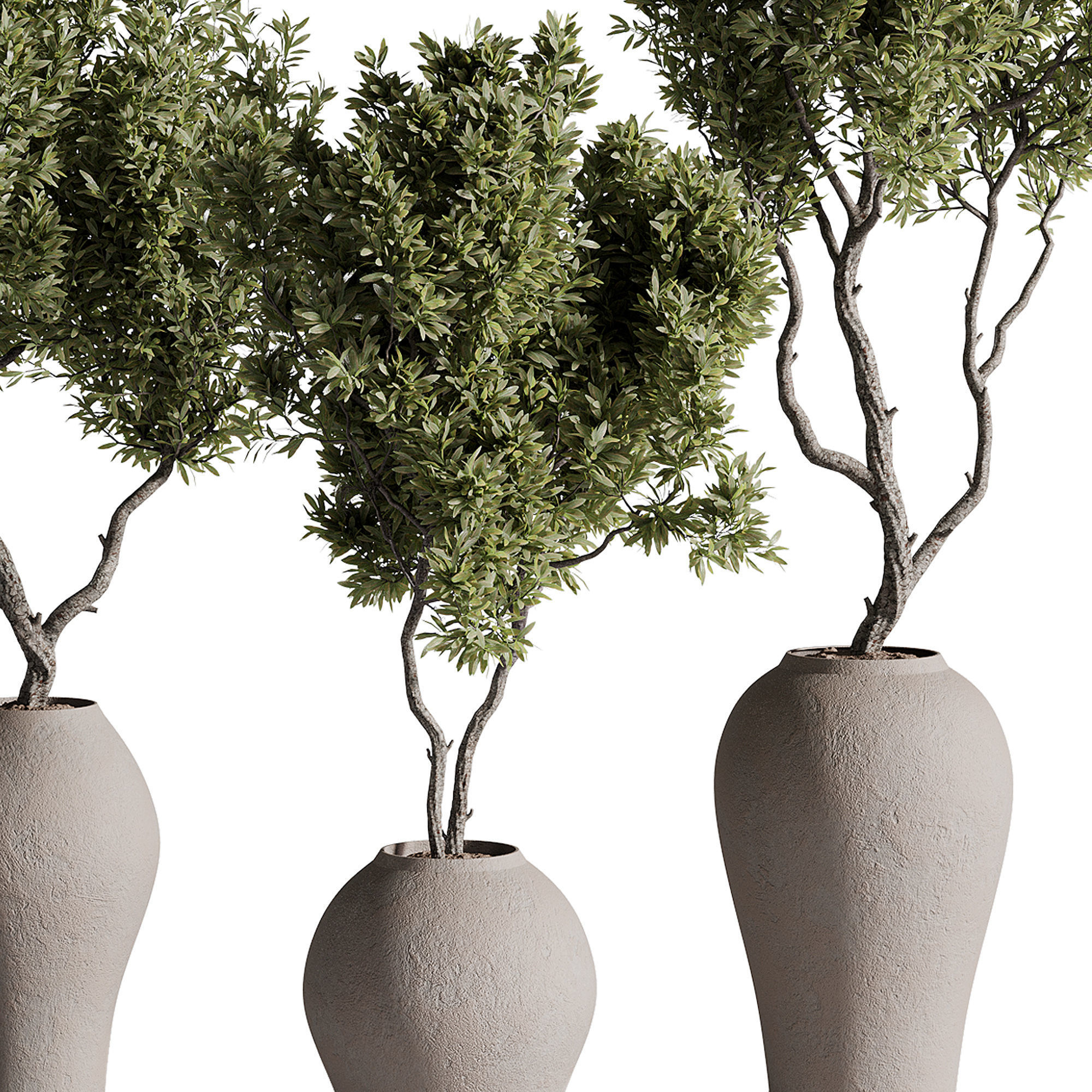 indoor plants - 68 plant in pot 3D model_3