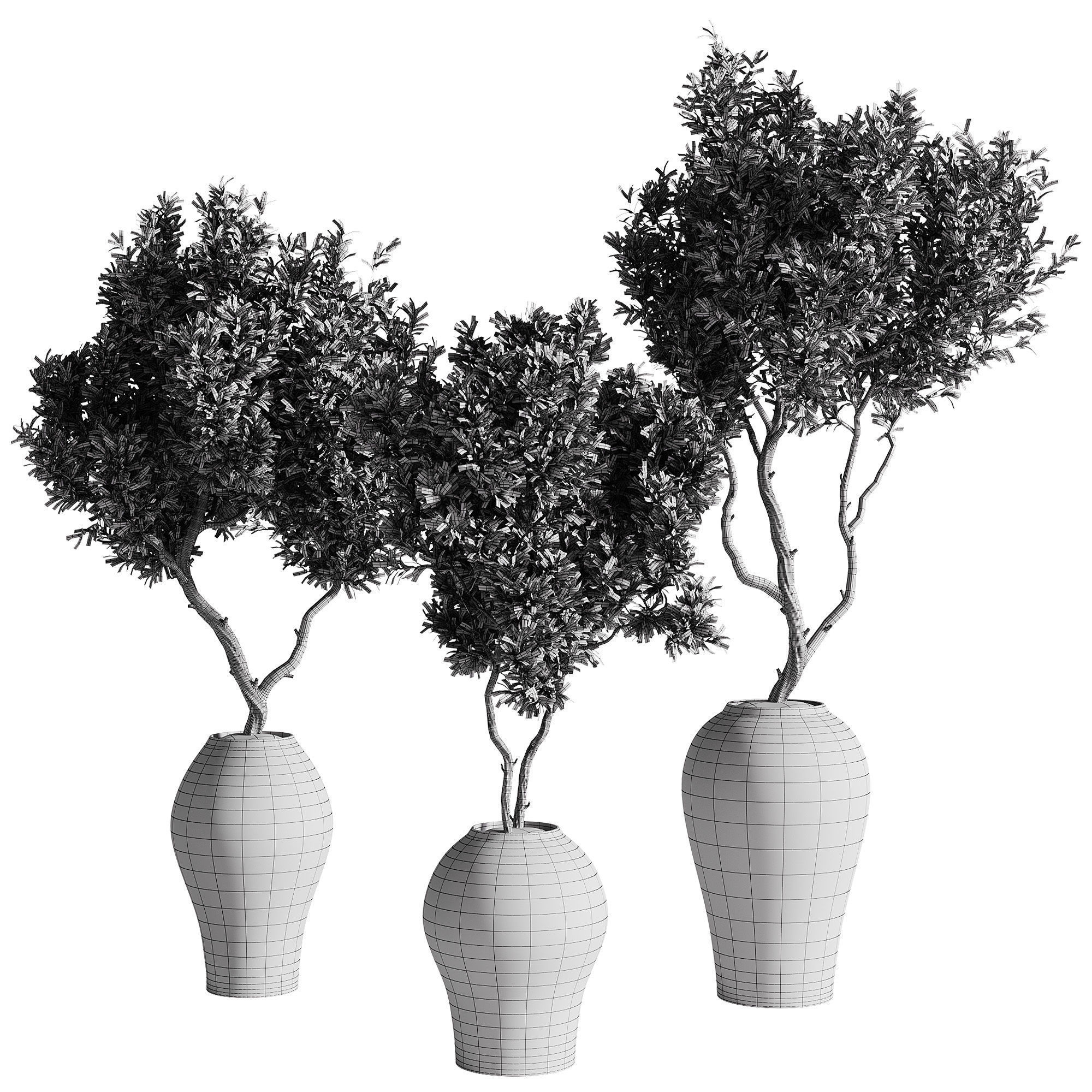 indoor plants - 68 plant in pot 3D model_2