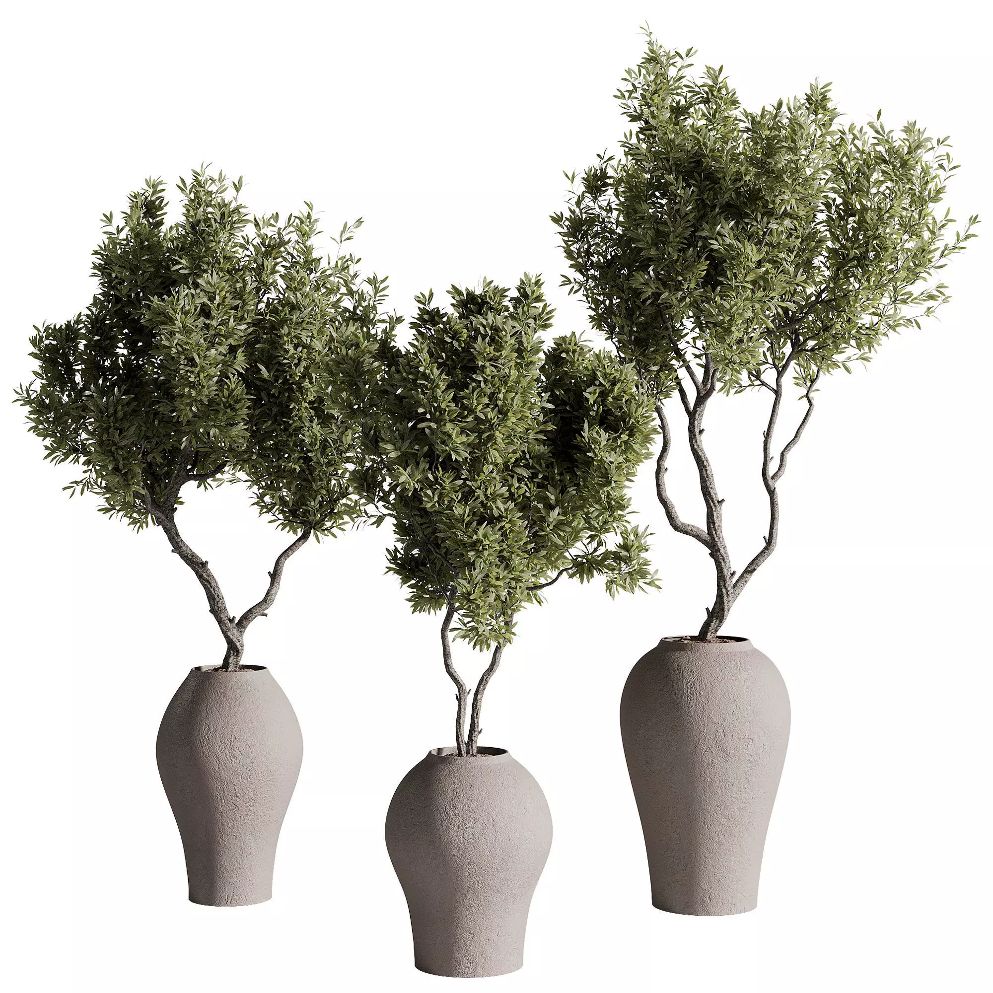 indoor plants - 68 plant in pot 3D model_0