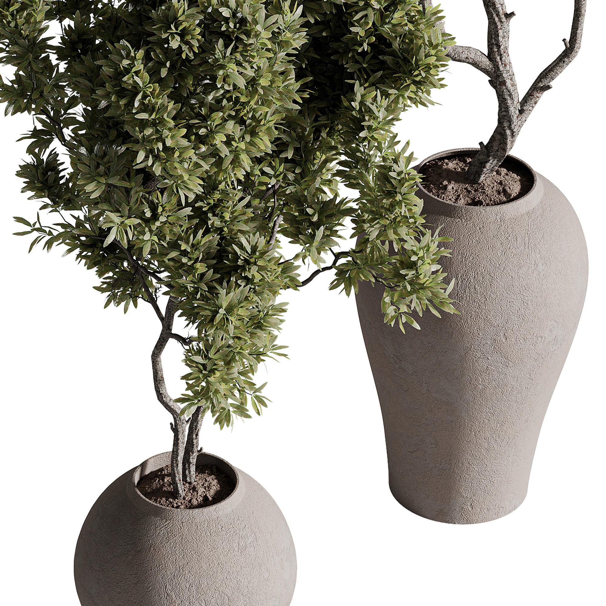 indoor plants - 68 plant in pot 3D model_4