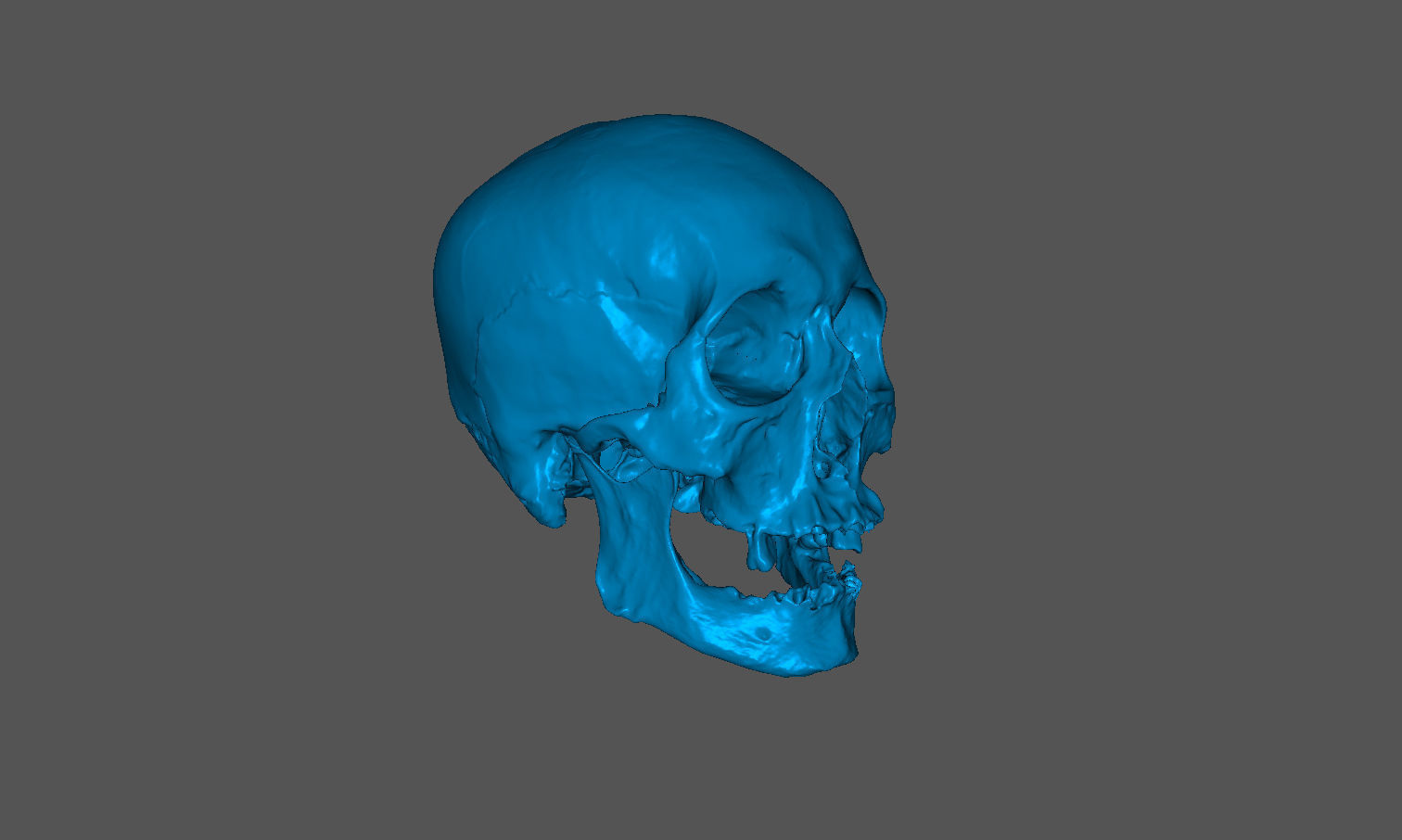 Realistic skull of elderly man Low-poly 3D model_2