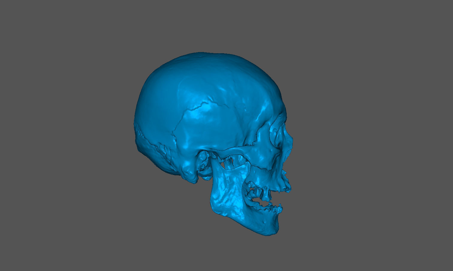 Realistic skull of elderly man Low-poly 3D model_4